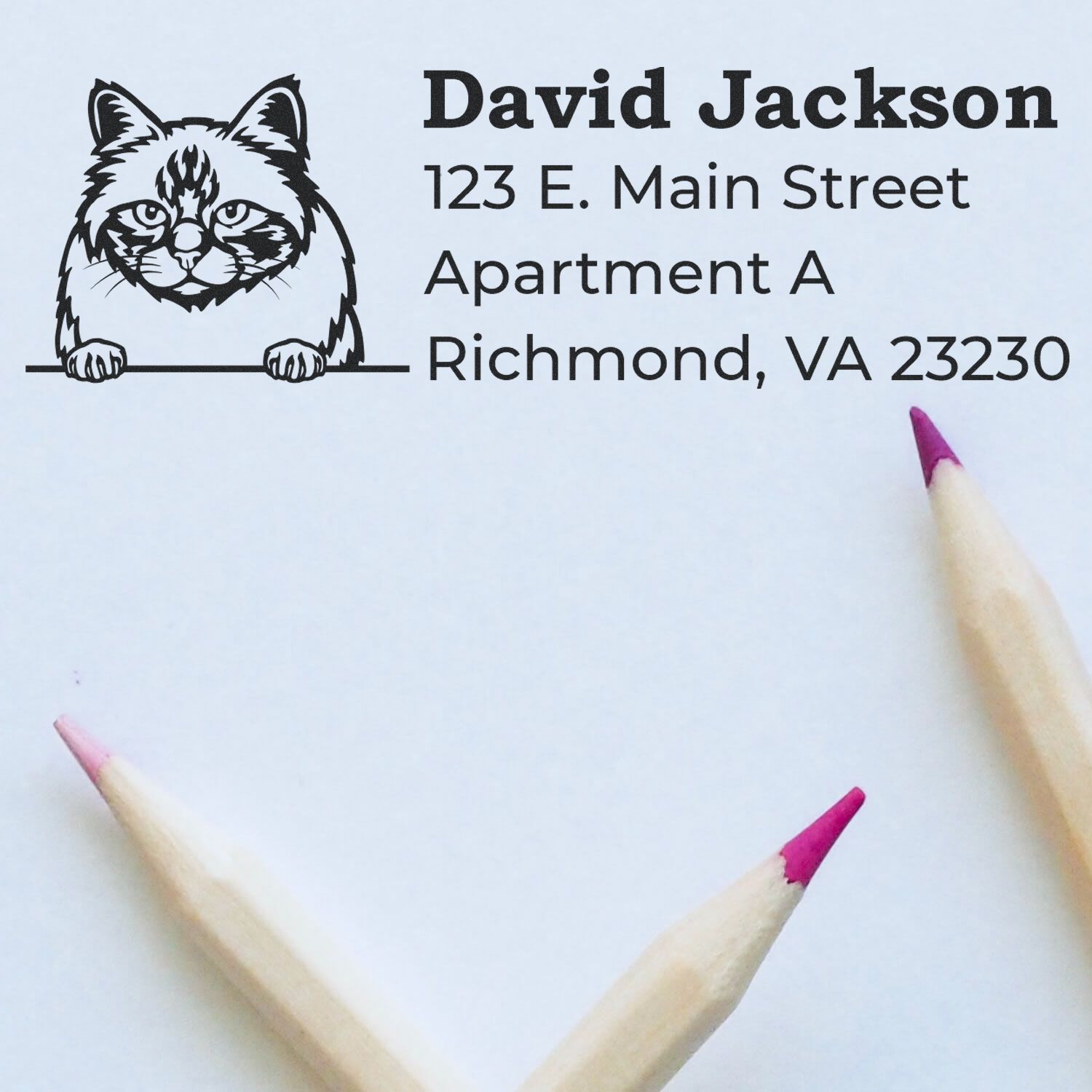 Self-Inking Birman Custom Address Stamp on paper with a Birman cat design, featuring the name and address. Two colored pencils are placed nearby.