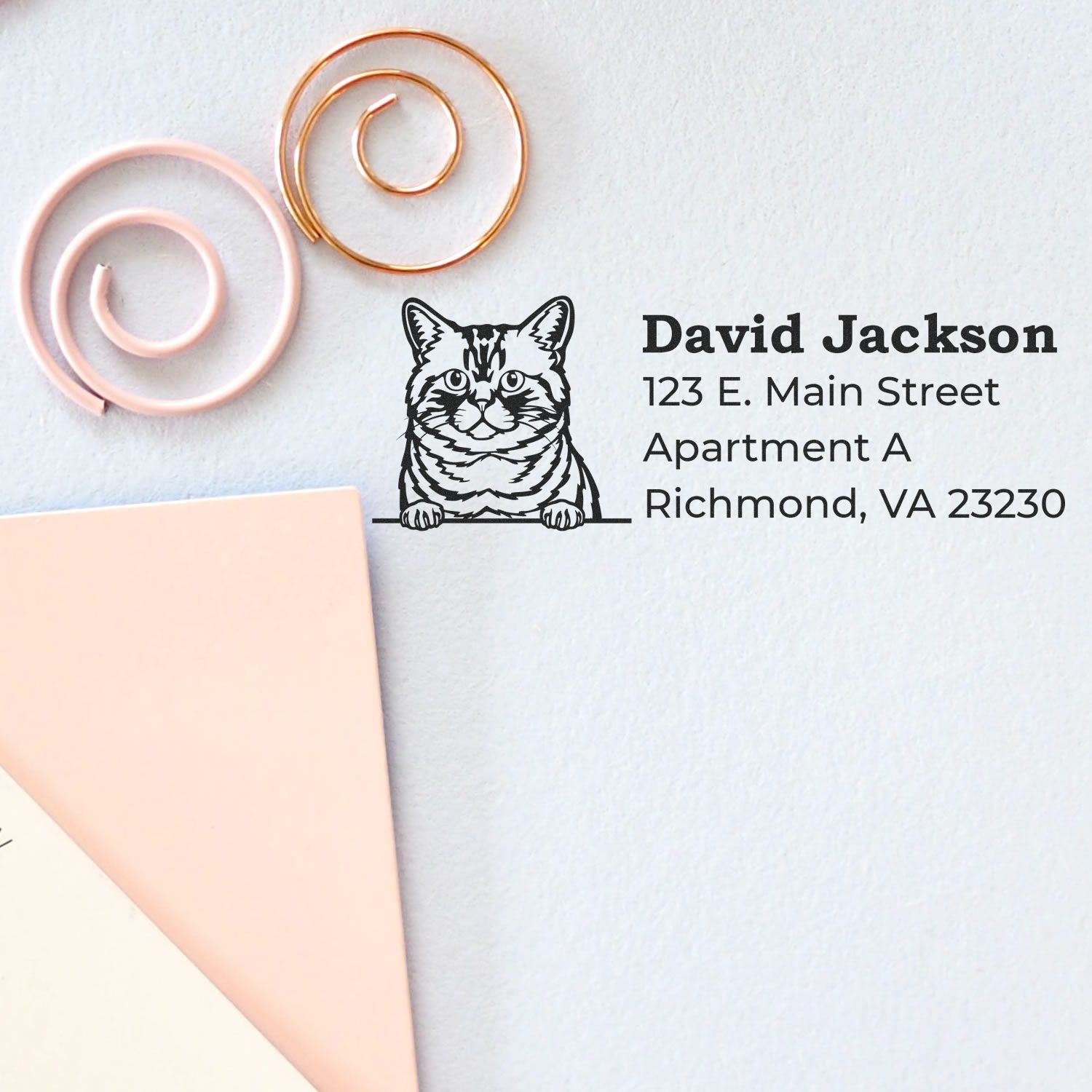 Slim Pre-Inked Brazilian Shorthair Peeking Cat Return Address Stamp on paper, featuring a cute cat illustration with address details. Perfect for personalizing mail with a playful touch.