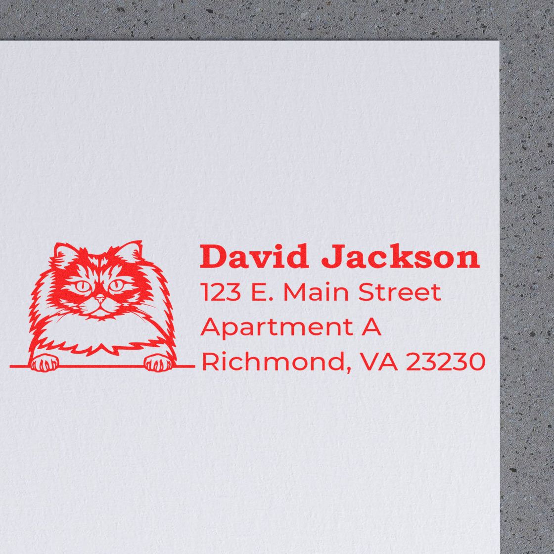 Wood Handle British Longhair Cat Address Stamp on white paper, featuring a red illustration of a British Longhair cat with text for a sample address in bold red font.