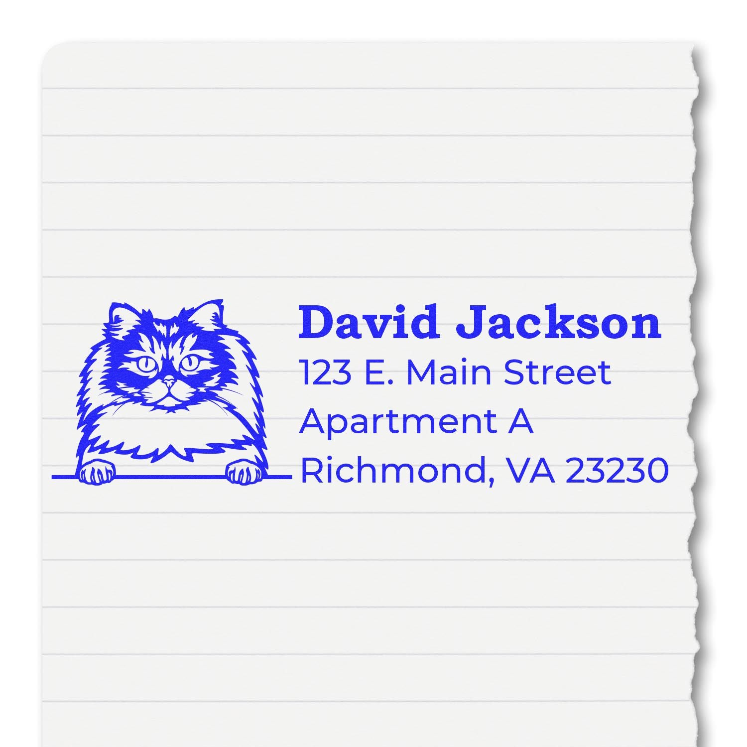 Slim Pre-Inked British Longhair Peeking Cat Return Address Stamp on lined paper, featuring a blue cat illustration and sample address text.