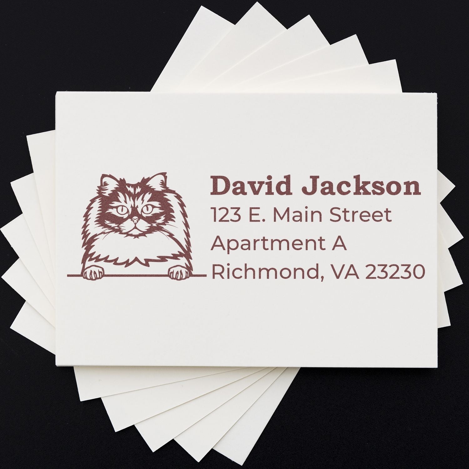 Self-Inking British Longhair Custom Address Stamp on white cards, featuring a cute cat illustration and sample address text in elegant font. Perfect for personalized stationery.