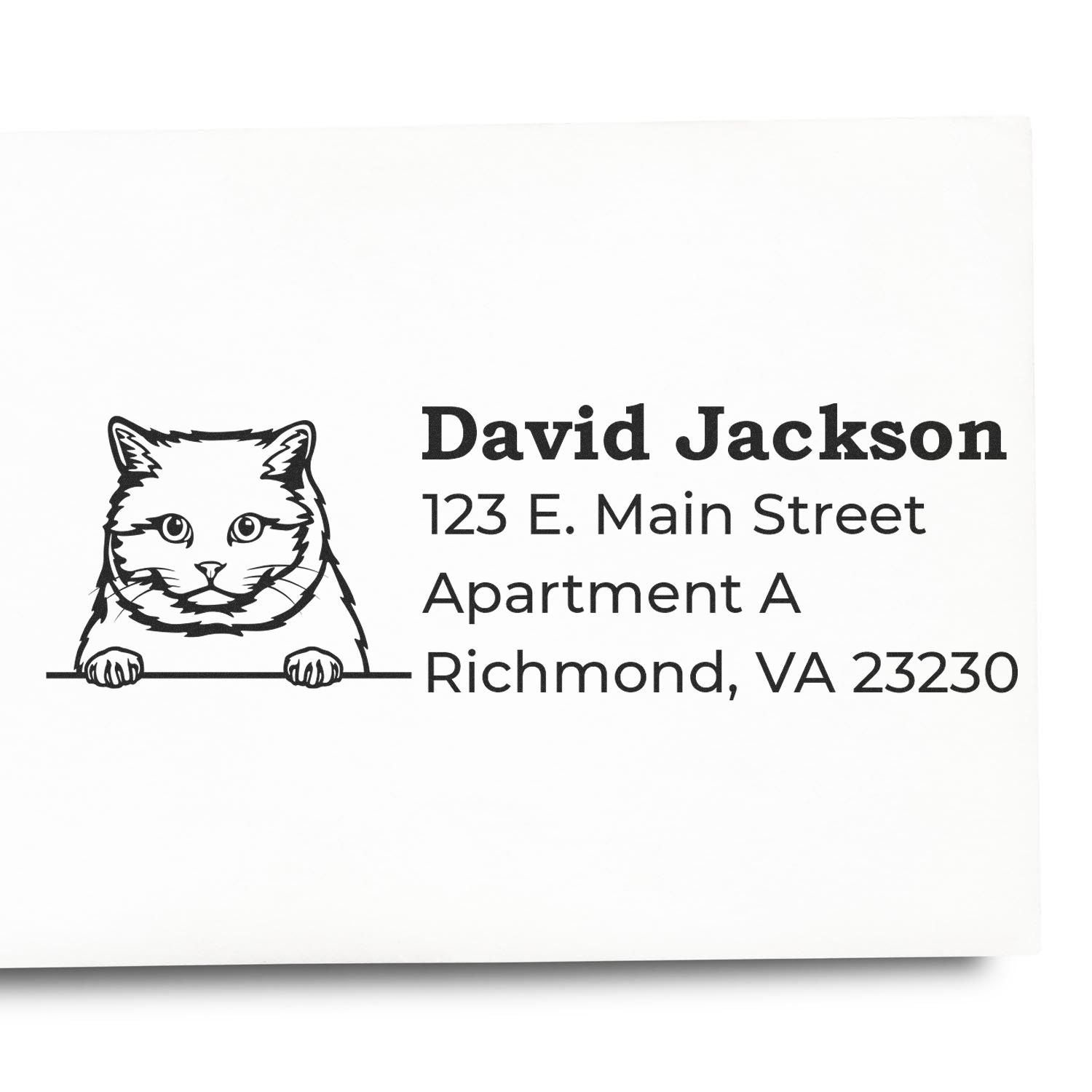 Self-Inking British Shorthair Custom Address Stamp featuring a cat illustration with sample address text on white paper. Perfect for personalized mailings.