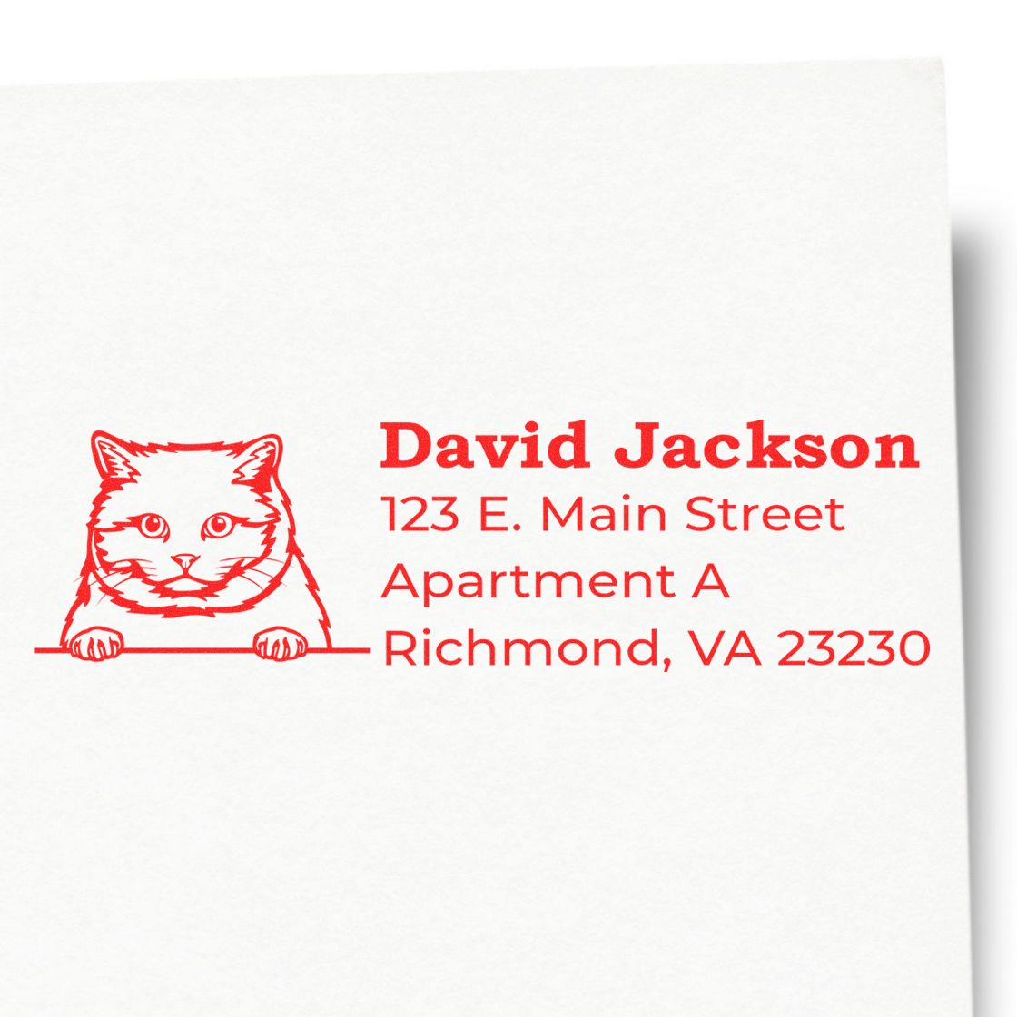 PSI Pre-Inked Peeking British Shorthair Cat Personalized Address Stamp featuring a cute cat illustration above a sample address in red ink on white paper.