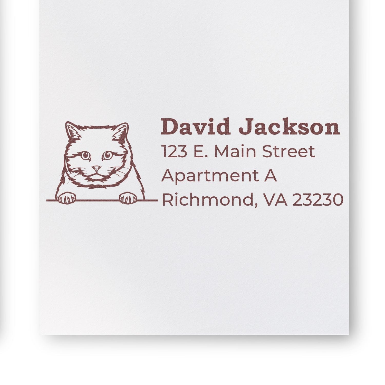 Self-Inking British Shorthair Custom Address Stamp featuring a cute cat illustration and personalized address details on white paper. Perfect for adding a personal touch to your mail.