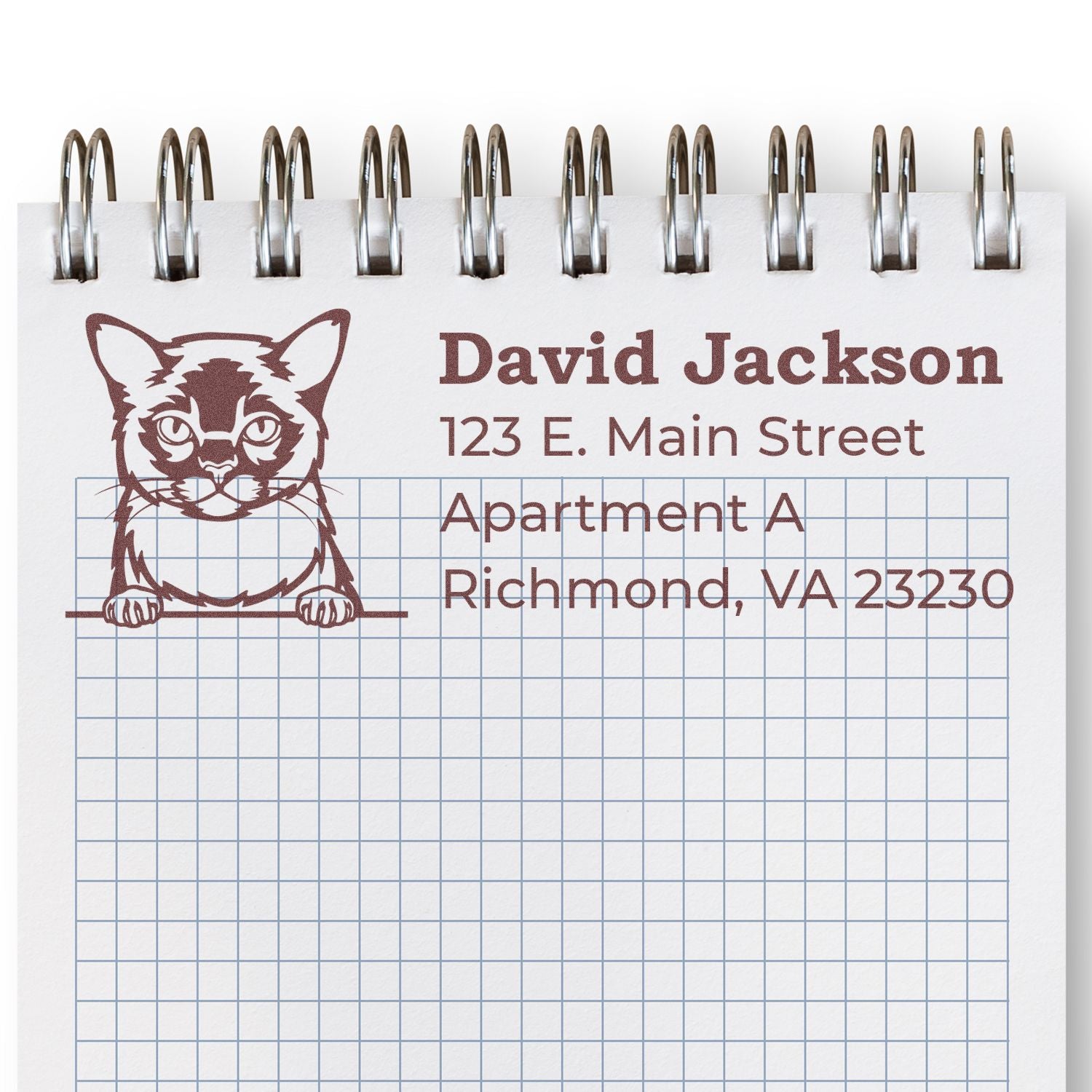 PSI Pre-Inked Peeking Burmese Cat Personalized Address Stamp on a notepad, featuring a cute cat illustration with sample address details in a stylish font.