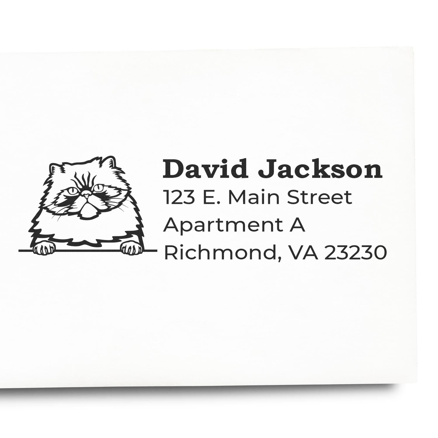 Self-Inking Colorpoint Persian Custom Address Stamp featuring a cute Persian cat illustration and personalized address details on a white background. Perfect for adding a personal touch to mail.