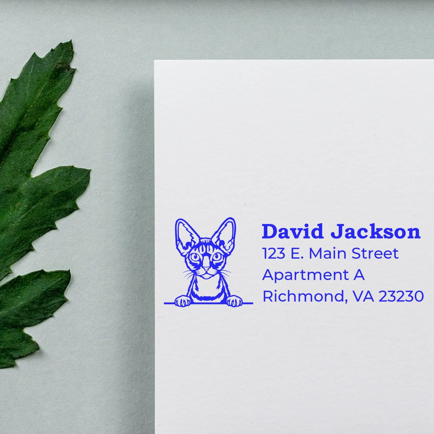 Self-Inking Devon Rex Custom Address Stamp on white paper with a blue cat design, next to a green leaf. Personalized address details are visible in blue ink.