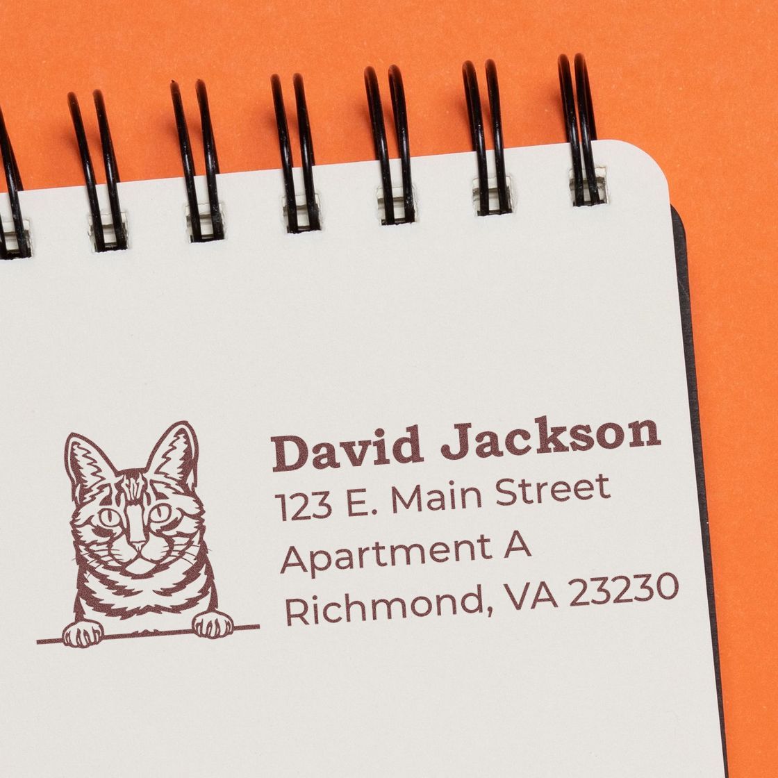 Slim Pre-Inked Dragon Li Peeking Cat Return Address Stamp on a notebook page, featuring a cute cat illustration and sample address in brown ink.