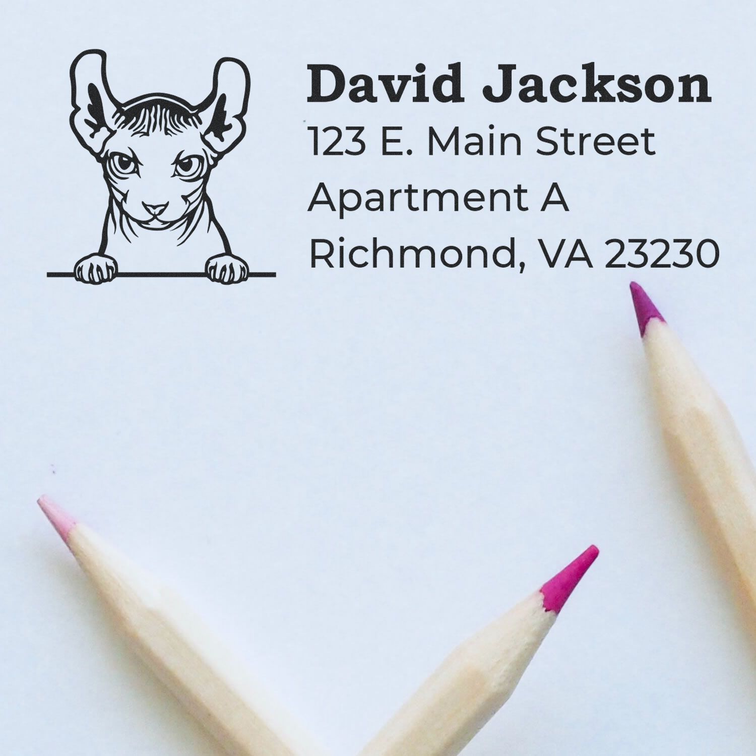 Self-Inking Dwelf Custom Address Stamp on white paper with a cat illustration and address details. Two pencils with pink tips are placed nearby.