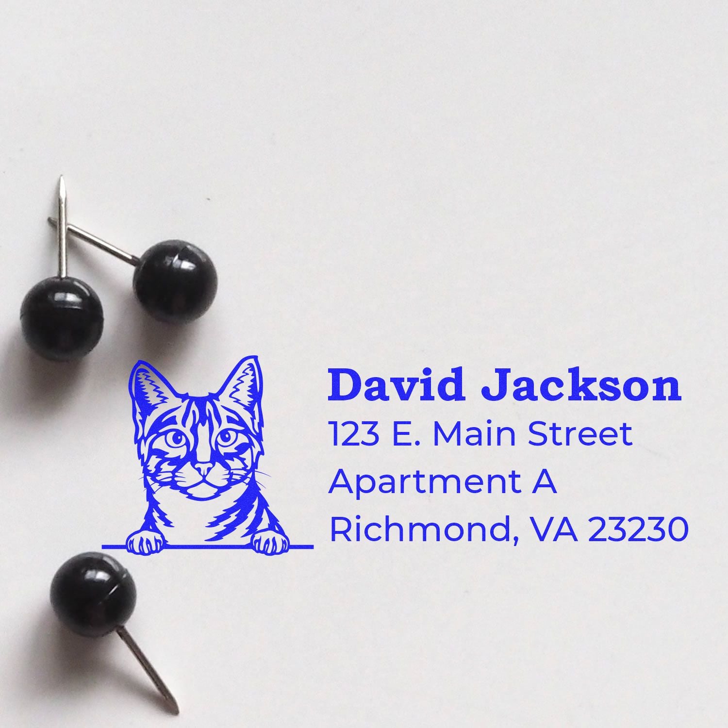 Slim Pre-Inked Egyptian Mau Peeking Cat Return Address Stamp on white paper, featuring a blue cat illustration and sample address text. Black push pins are placed nearby for decoration.