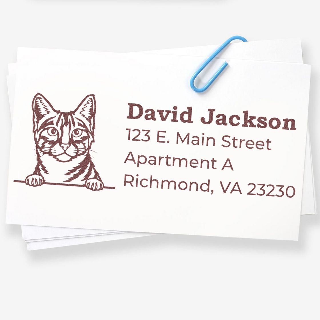 Self-Inking Egyptian Mau Custom Address Stamp on white paper with a cute cat illustration, clipped with a blue paperclip. Text reads: David Jackson, 123 E. Main Street, Apartment A, Richmond, VA 23230.