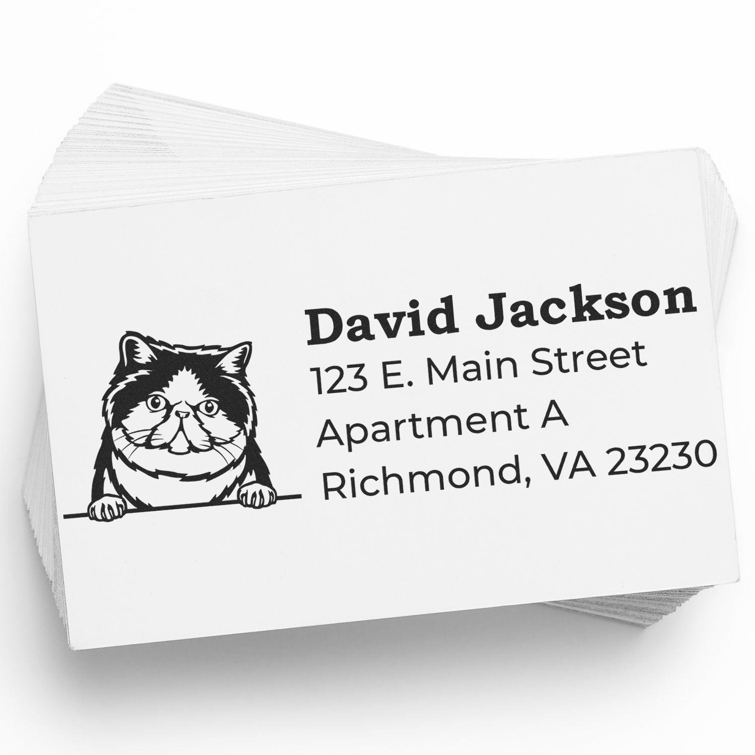 PSI Pre-Inked Peeking Exotic Shorthair Cat Personalized Address Stamp on a stack of white cards, featuring a cute cat illustration and sample address text.