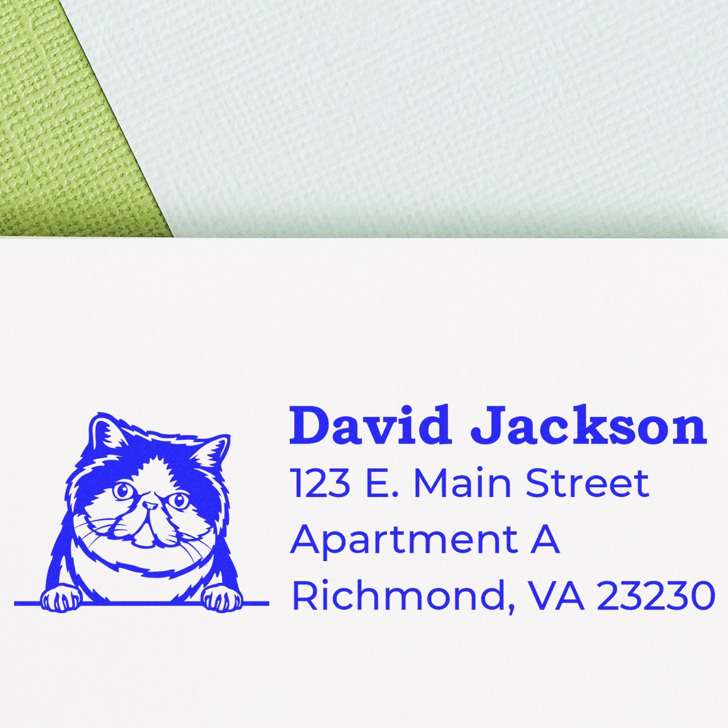 PSI Pre-Inked Peeking Exotic Shorthair Cat Personalized Address Stamp on white paper with blue ink, featuring a cute cat illustration and sample address details.