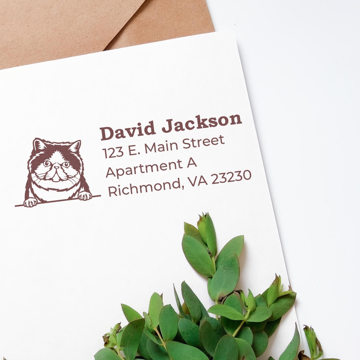 Slim Pre-Inked Exotic Shorthair Peeking Cat Return Address Stamp on white envelope with green leaves, featuring a cute cat illustration and sample address text in brown ink.