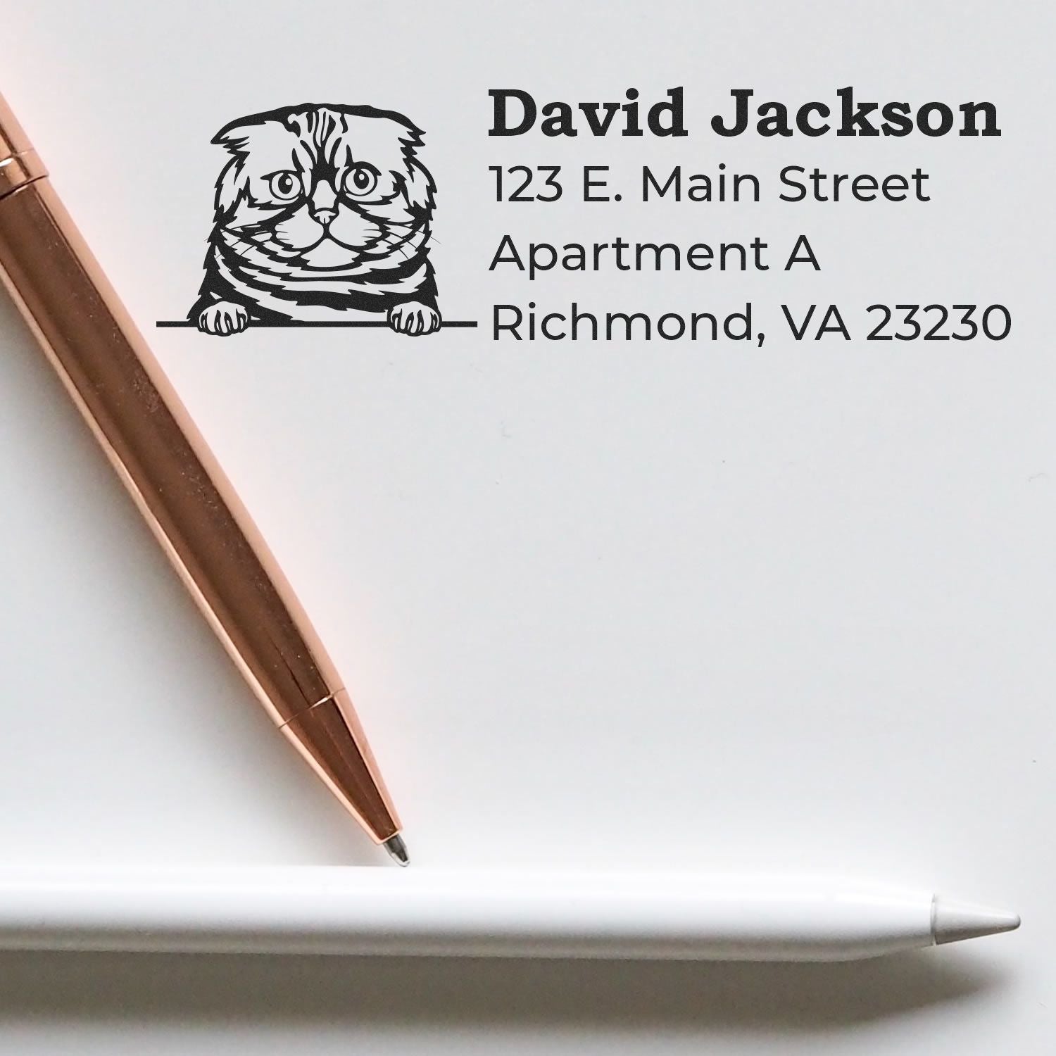 Self-Inking Foldex Custom Address Stamp on paper with a cat design, next to a rose gold and white pen. Address details are printed clearly, showcasing the stamp's precision and style.