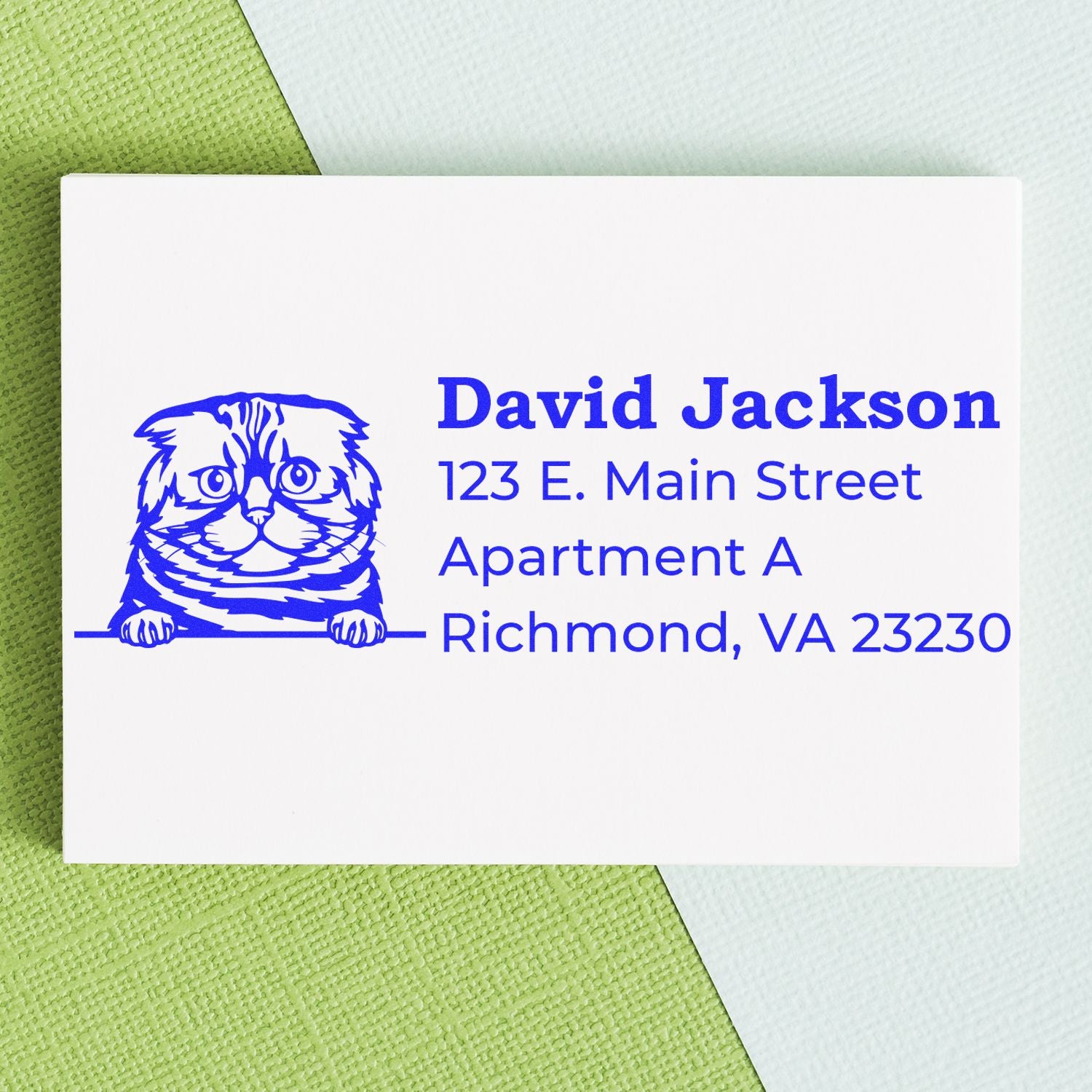 Self-Inking Foldex Custom Address Stamp on a card with a blue cat illustration and sample address. Card placed on textured green and light blue background.