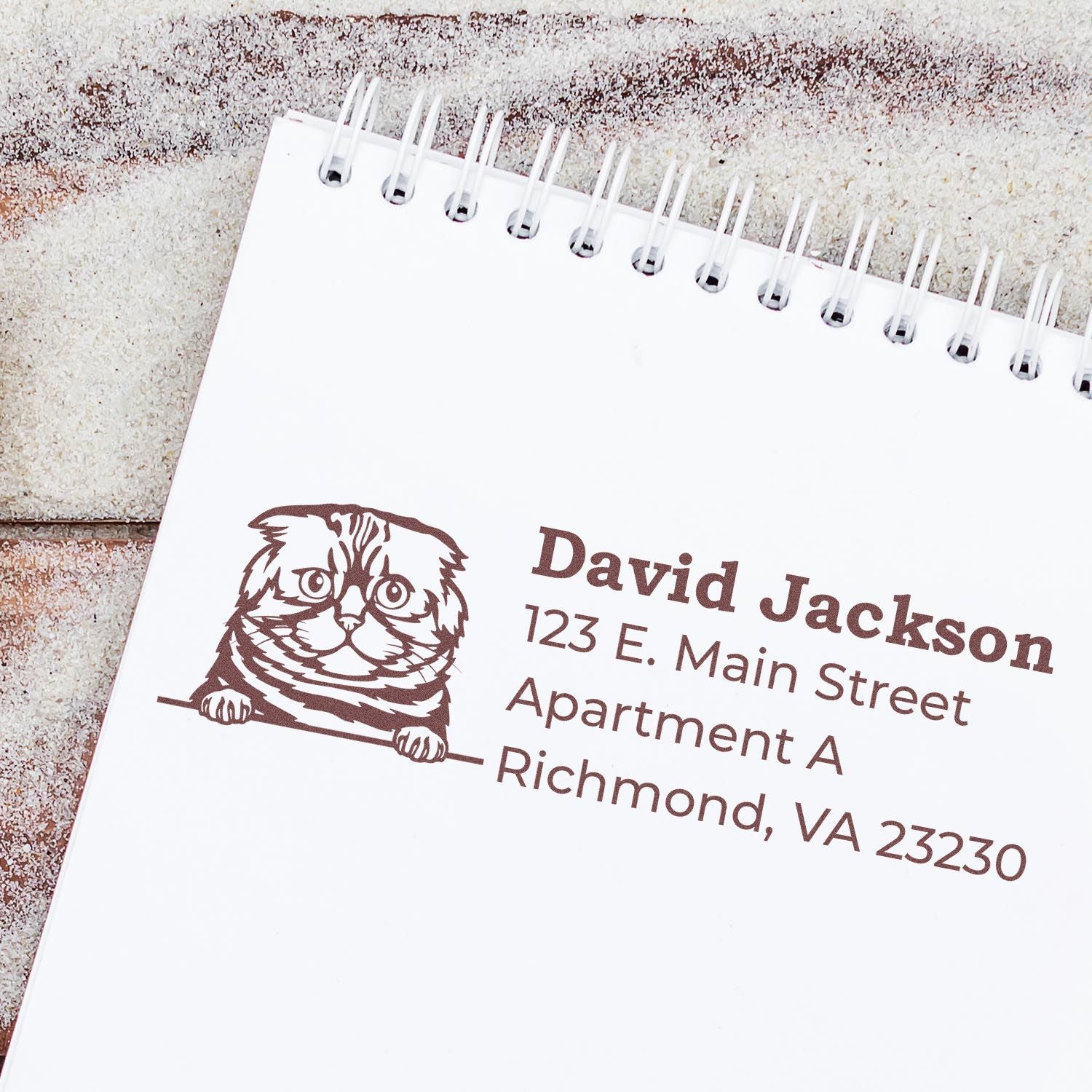 Wood Handle Foldex Cat Address Stamp on a notepad, featuring a cute cat illustration and sample address text in brown ink. Perfect for personalizing mail with a touch of feline charm.