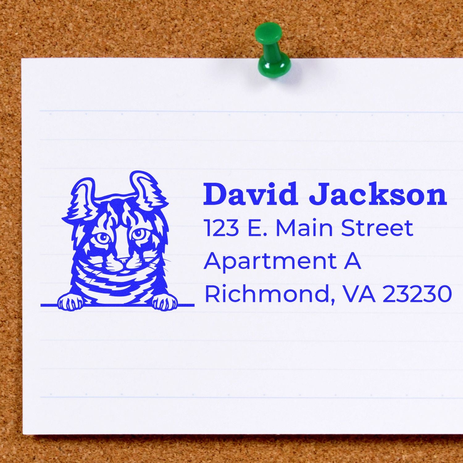 Wood Handle Highlander Cat Address Stamp on paper with a blue cat design and sample address, pinned to a corkboard.