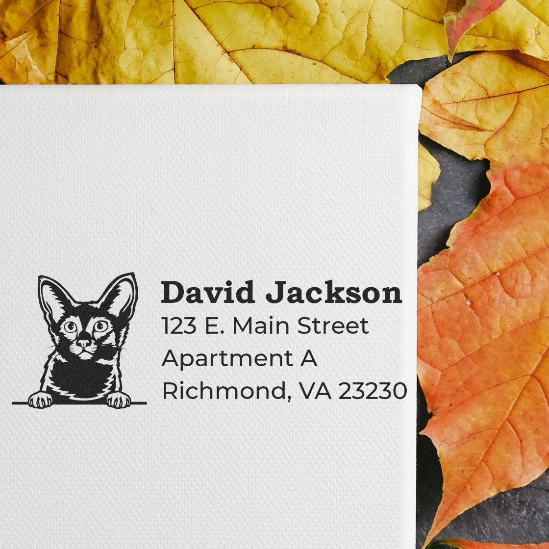 Self-Inking Javanese Custom Address Stamp on white paper with a cat illustration, surrounded by autumn leaves. Text reads David Jackson, 123 E. Main Street, Apartment A, Richmond, VA 23233.