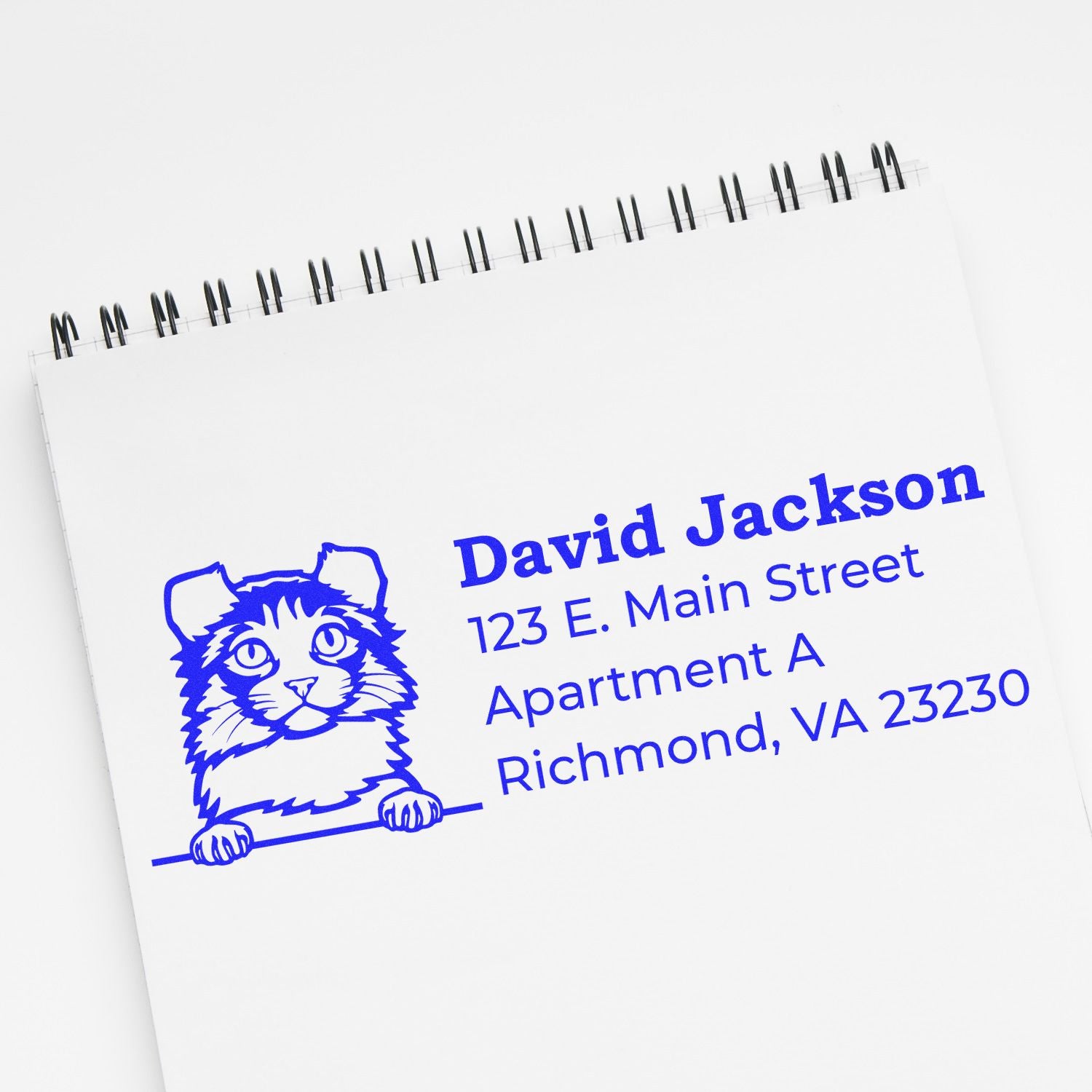 Wood Handle Kinkalow Cat Address Stamp imprint on white paper, featuring a cute cat illustration with blue text displaying a sample address.