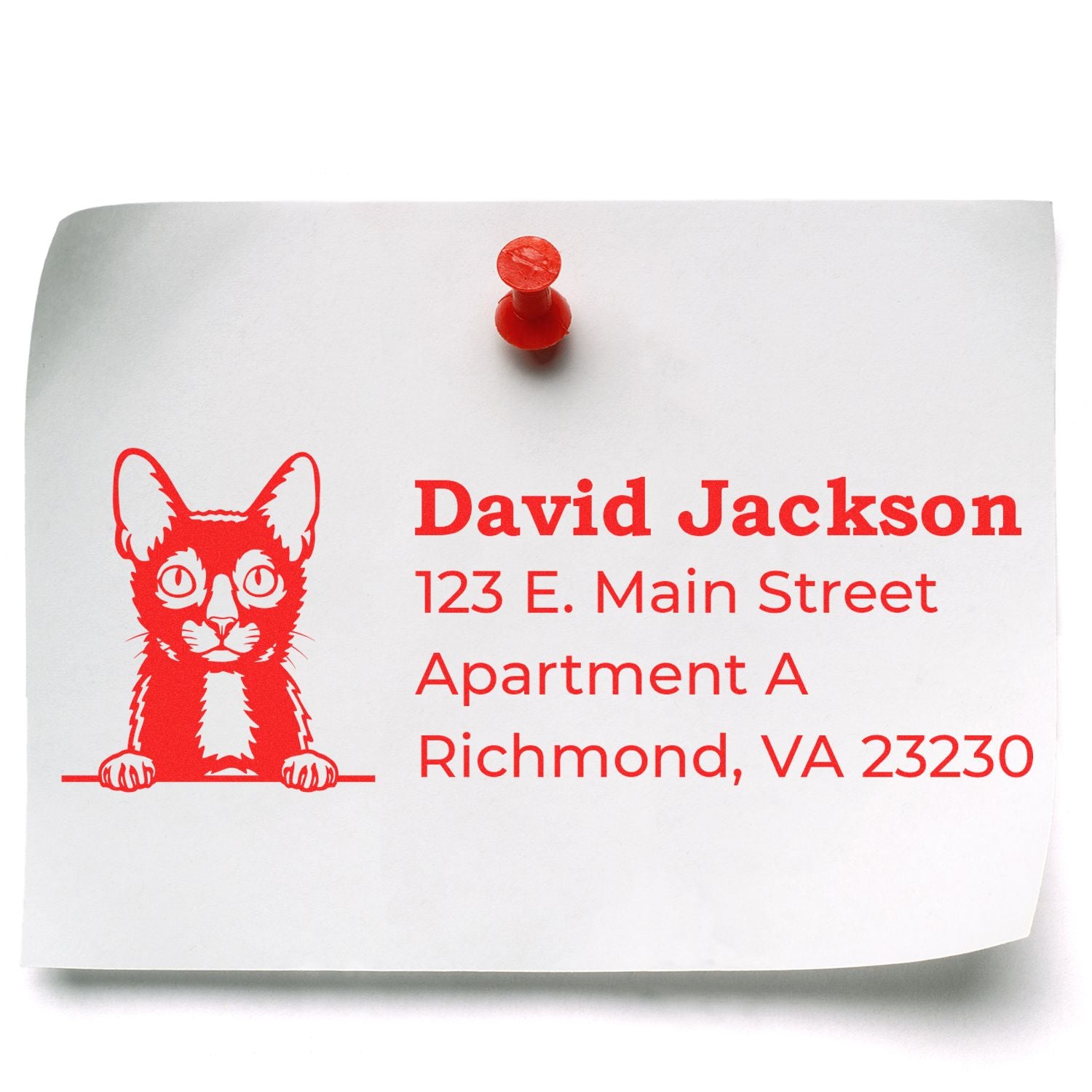 Wood Handle Lykoi Cat Address Stamp on white paper with red ink, featuring a Lykoi cat illustration and sample address details, pinned to a surface with a red pushpin.