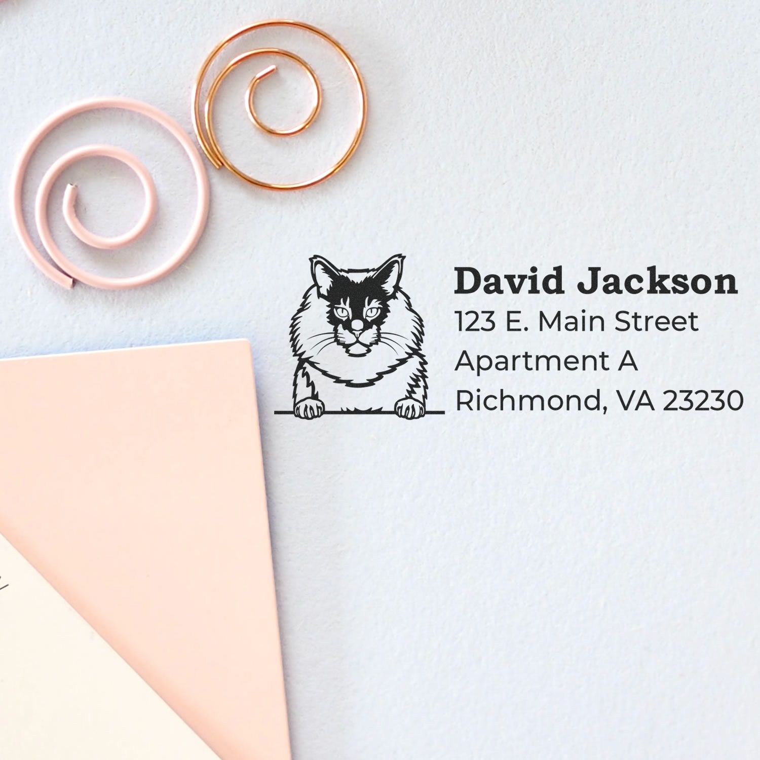 Self-Inking Maine Coon Custom Address Stamp on paper with a Maine Coon cat illustration, next to pink and gold spiral paper clips and pastel envelopes.