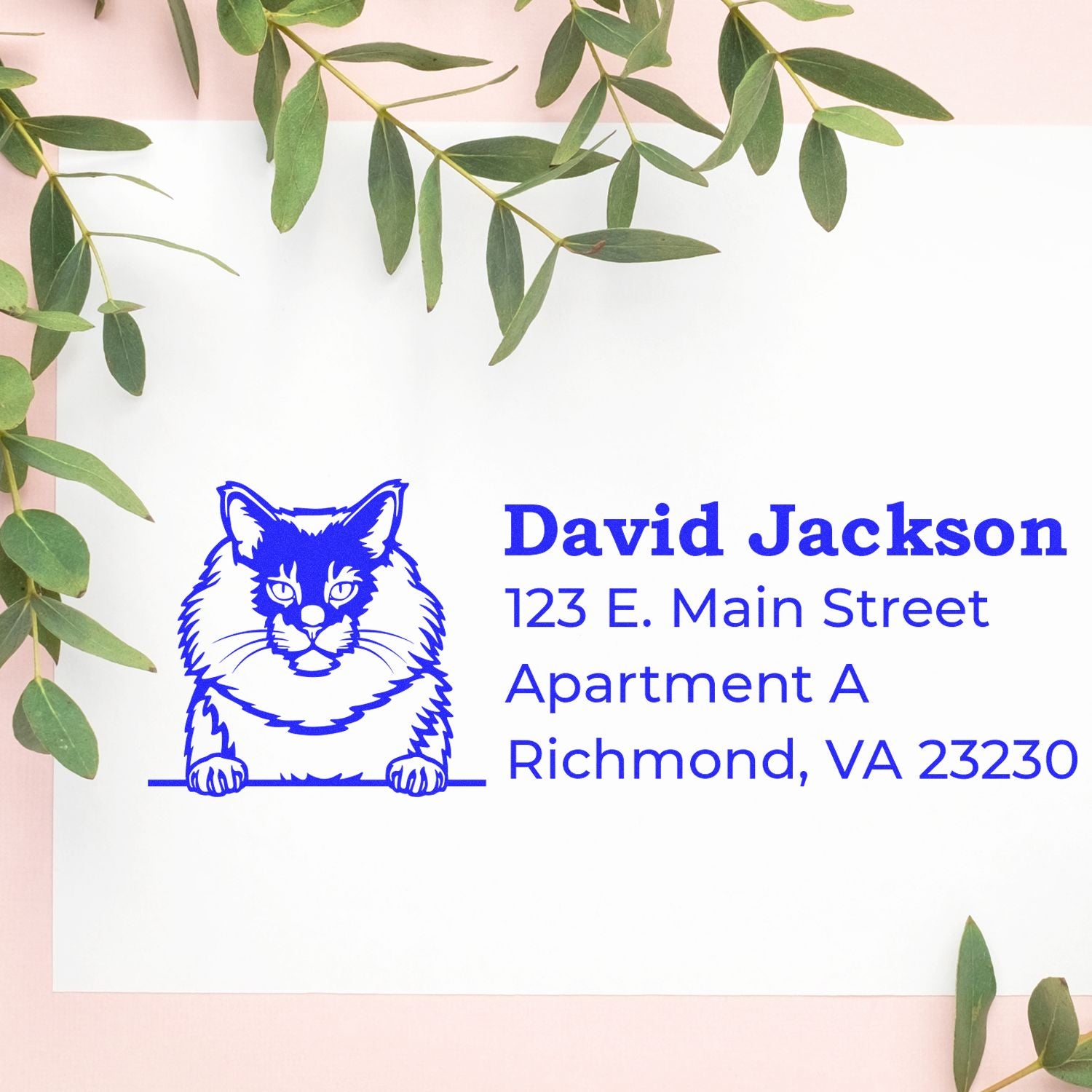 PSI Pre-Inked Peeking Maine Coon Cat Personalized Address Stamp on white paper with green leaves. Blue ink features a cat illustration and sample address text.