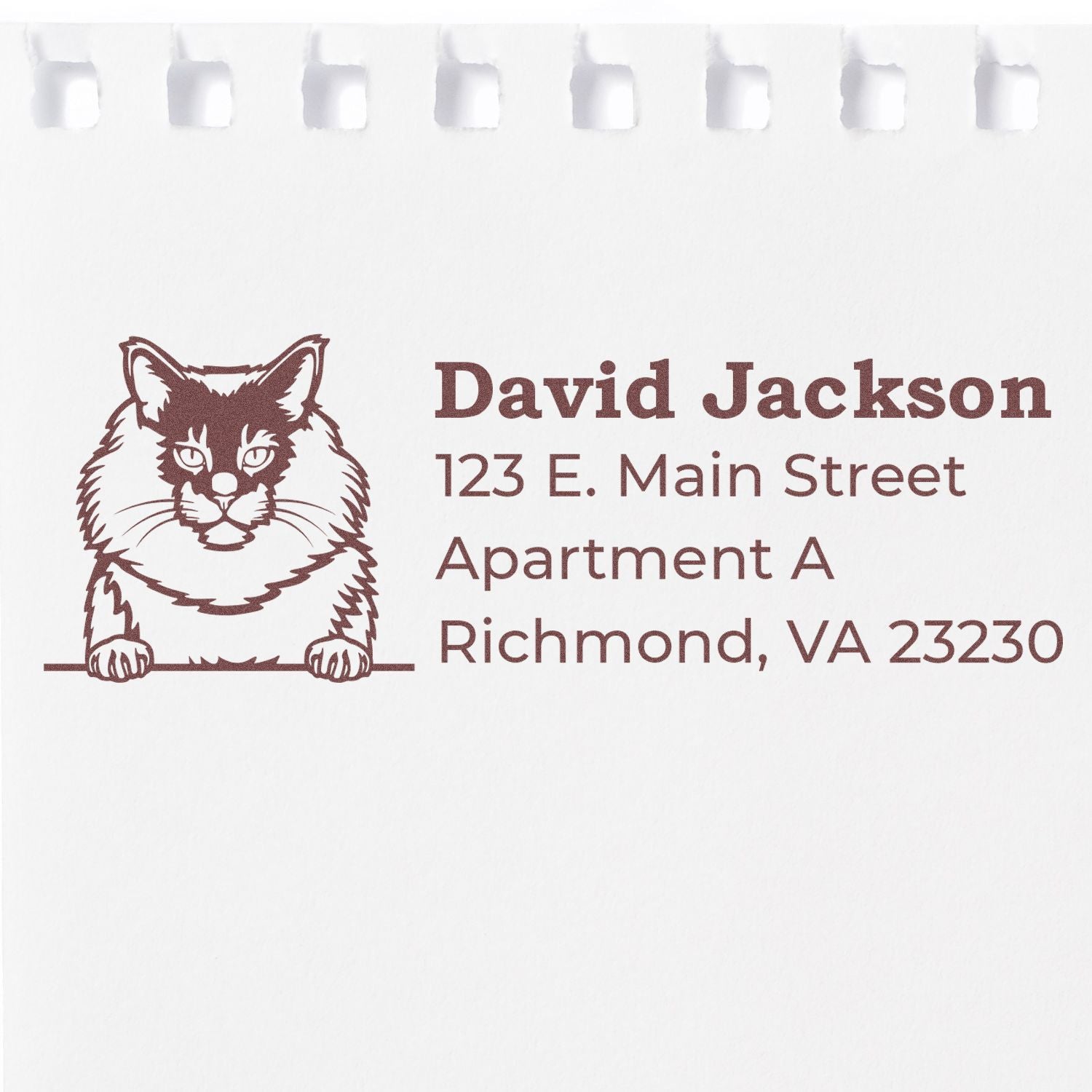 Wood Handle Maine Coon Cat Address Stamp on paper, featuring a Maine Coon illustration with sample address text in brown ink.