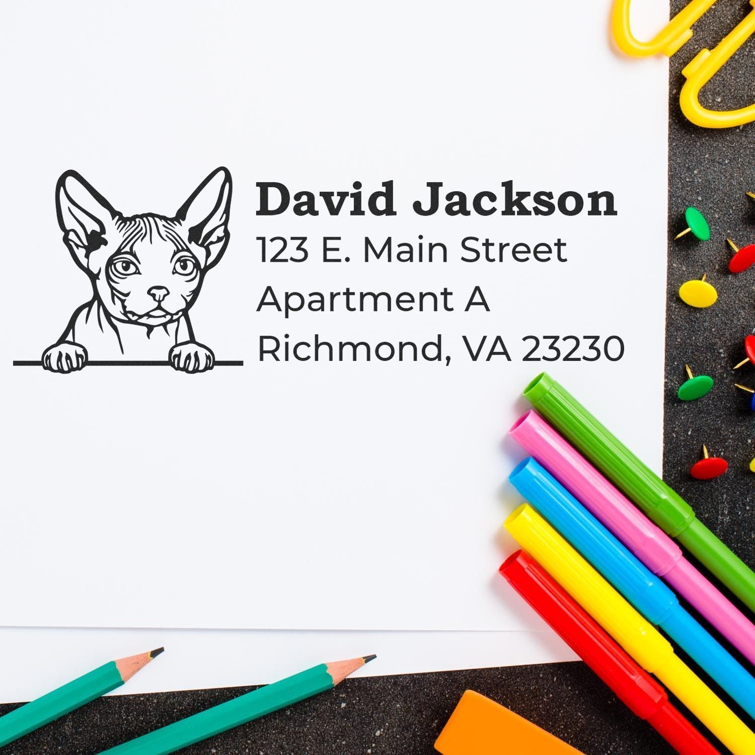 Wood Handle Minskin Cat Address Stamp on white paper with colorful markers and push pins. The stamp features a Minskin cat design with sample address text.