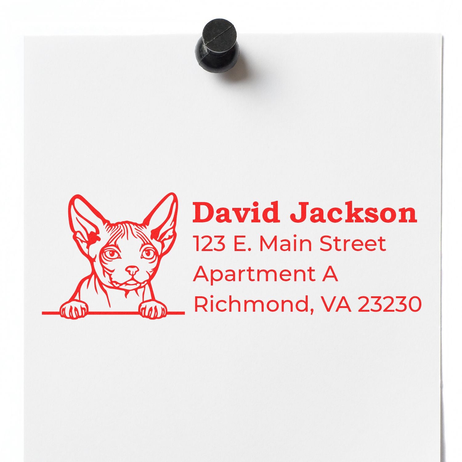 Wood Handle Minskin Cat Address Stamp imprint on white paper, featuring a red illustration of a Minskin cat above a sample address in bold red text, pinned to a surface.