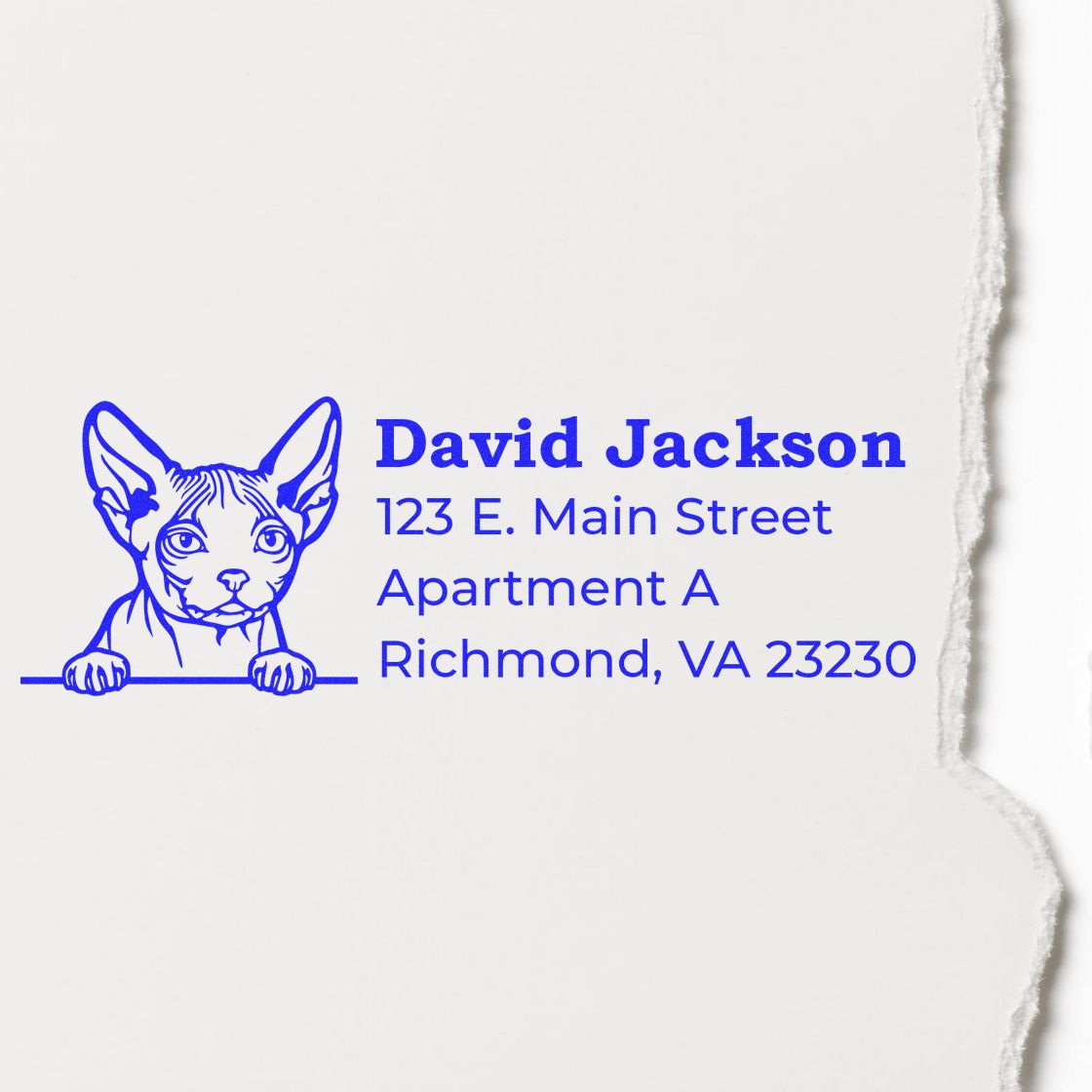 Self-Inking Minskin Custom Address Stamp on paper, featuring a blue Minskin cat illustration with sample address text in bold blue font.