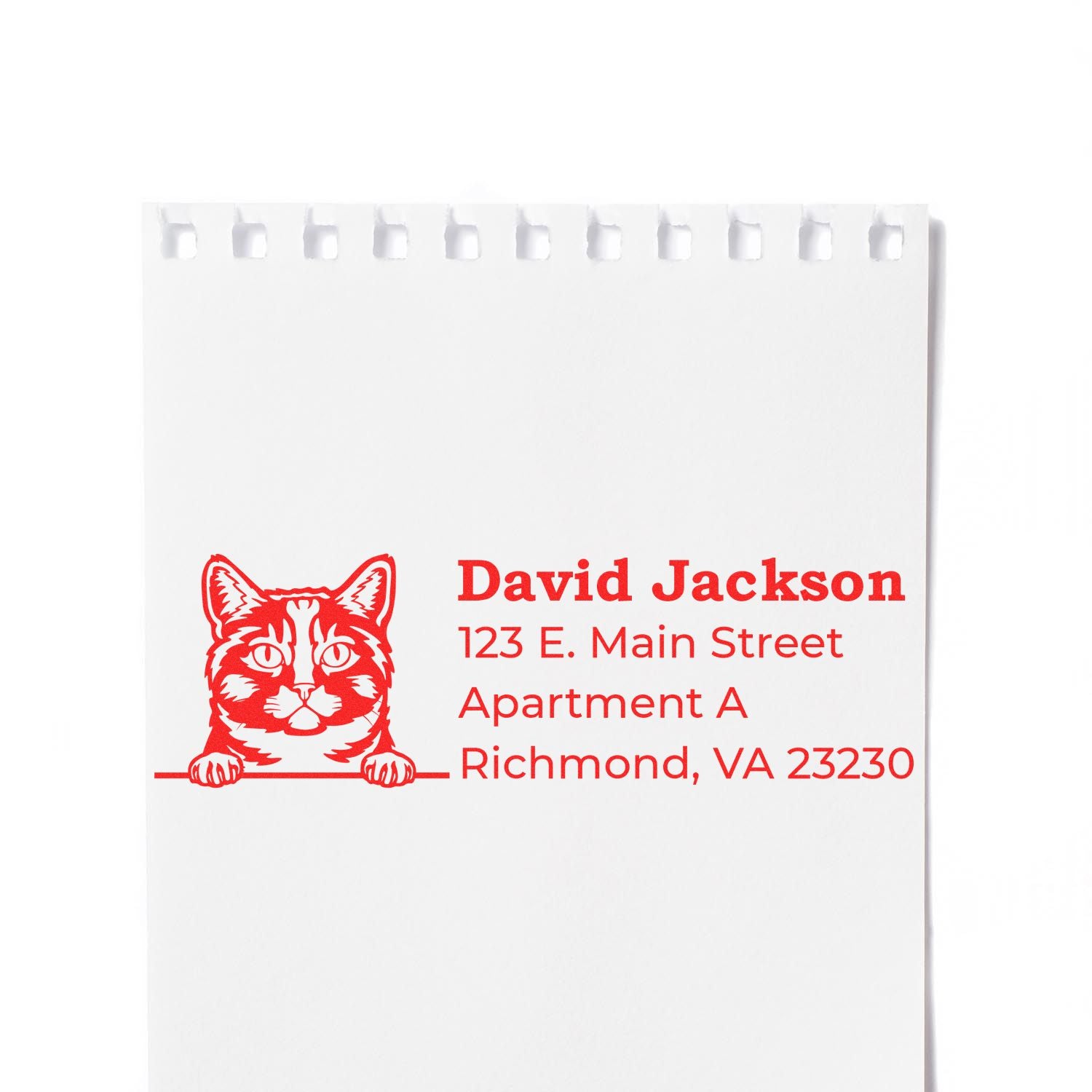 Self-Inking Munchkin Custom Address Stamp featuring a red cat design, stamping David Jackson, 123 E. Main Street, Apartment A, Richmond, VA 23230 on white paper.