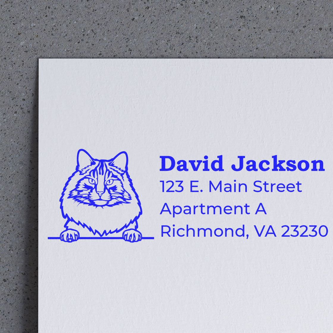 Self-Inking Norwegian Forest Cat Custom Address Stamp on white paper, featuring a blue cat illustration and sample address text. Perfect for adding a personal touch to your mail.