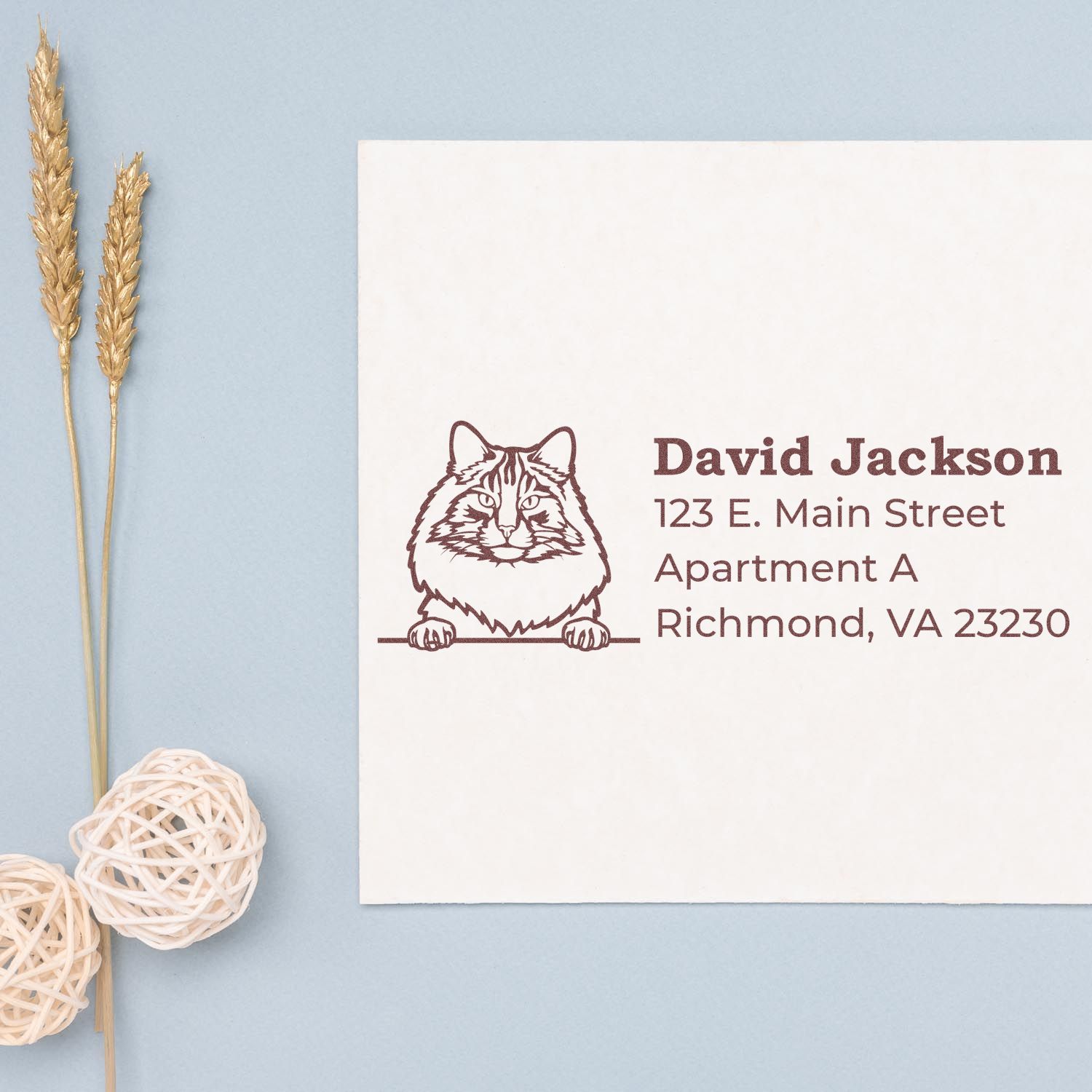 PSI Pre-Inked Peeking Norwegian Forest Cat Personalized Address Stamp on an envelope with a cat illustration and sample address. Decorated with dried wheat and decorative balls on a light blue surface.