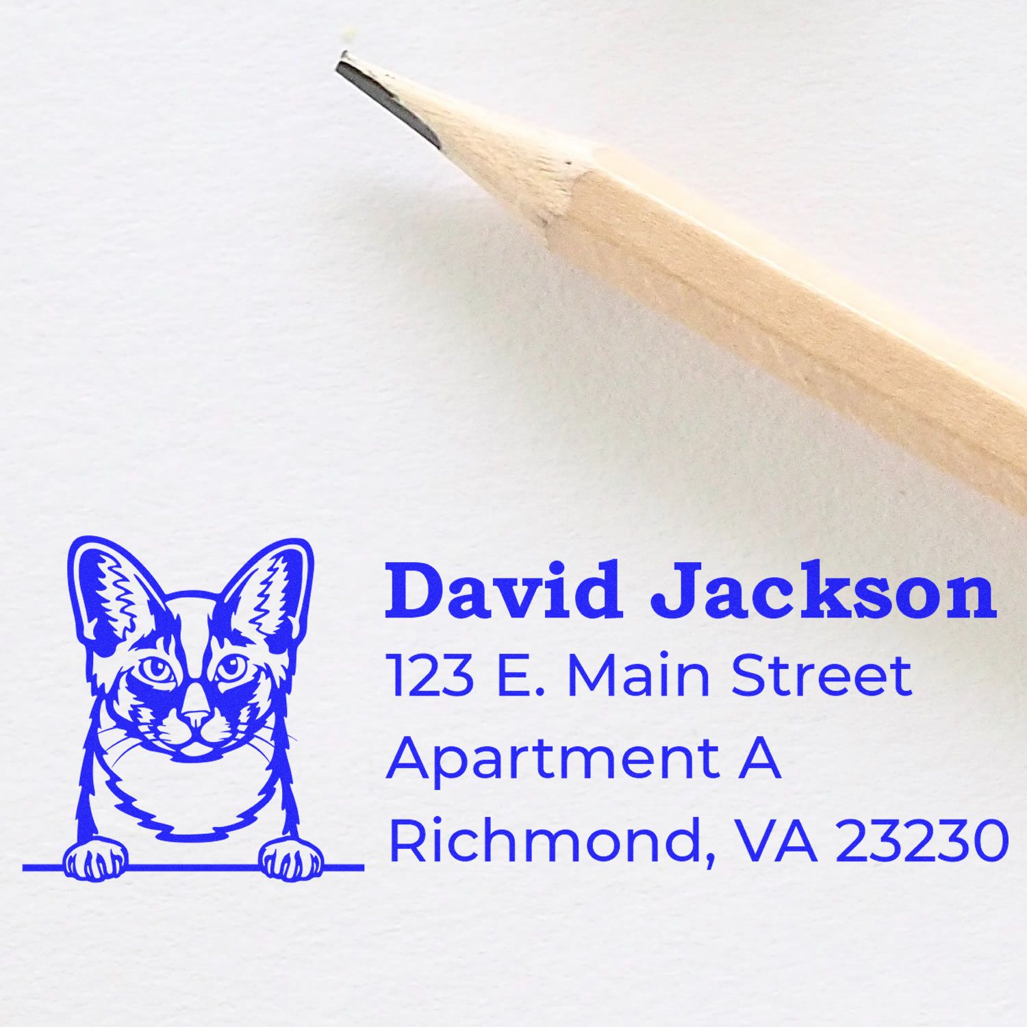 Self-Inking Oriental Longhair Custom Address Stamp featuring a blue cat design next to a pencil. Text includes name, street address, apartment, city, and zip code in bold blue font.