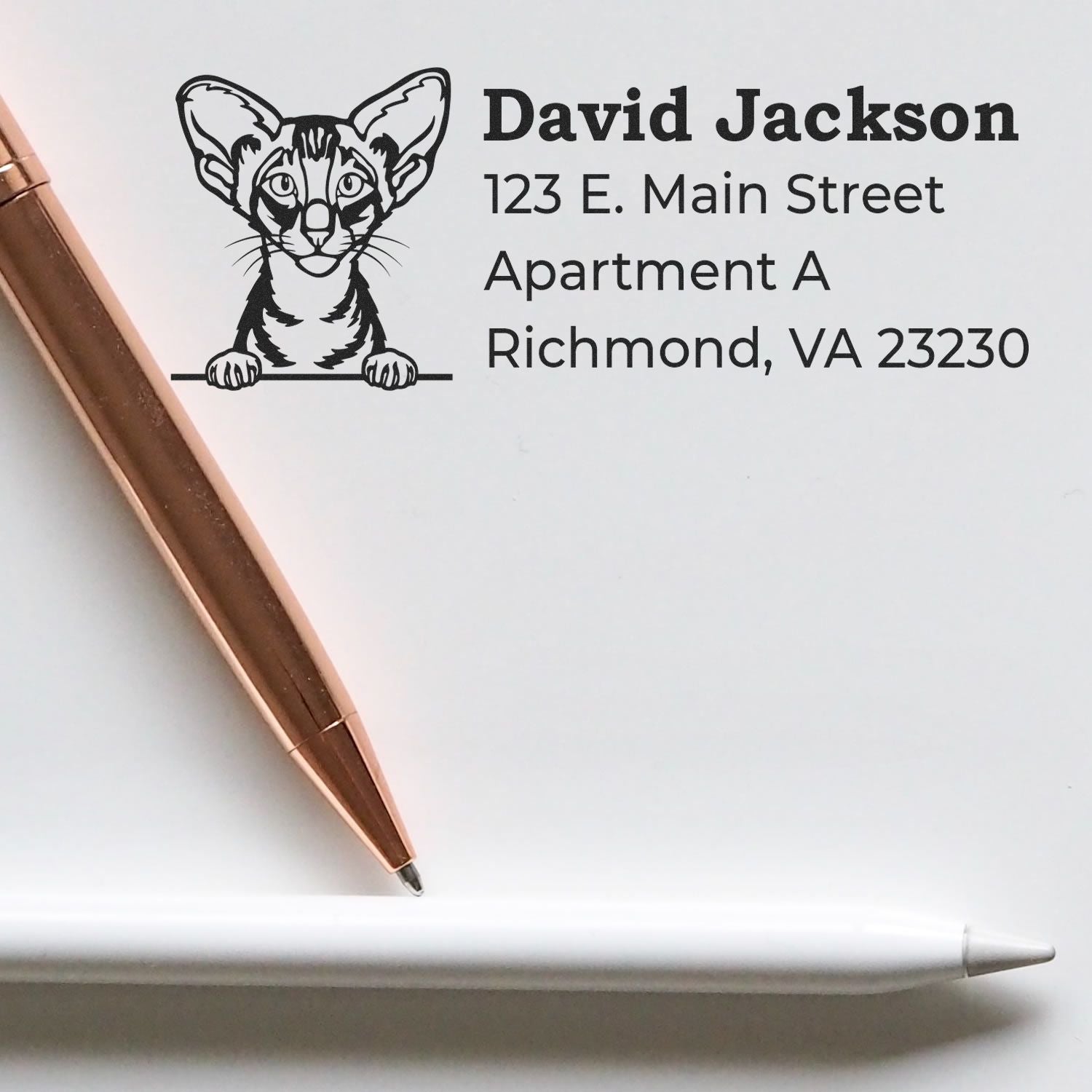 Self-Inking Oriental Shorthair Custom Address Stamp on paper with a cat illustration, next to a rose gold and white pen. Address details are printed in bold black font.