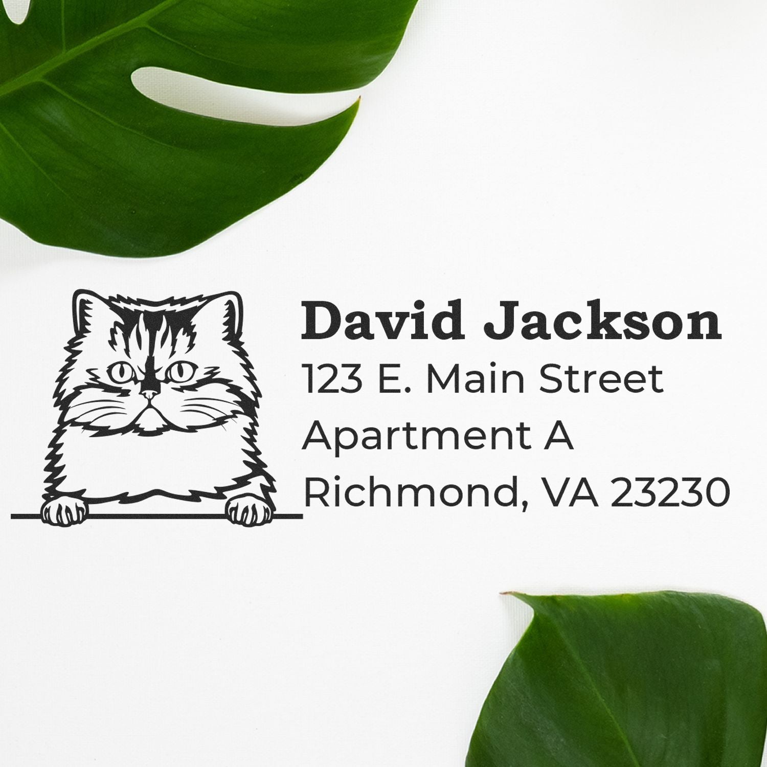 PSI Pre-Inked Peeking Persian Cat Personalized Address Stamp on white paper with green leaves, featuring a cat illustration above the address: David Jackson, 123 E. Main Street, Richmond, VA.