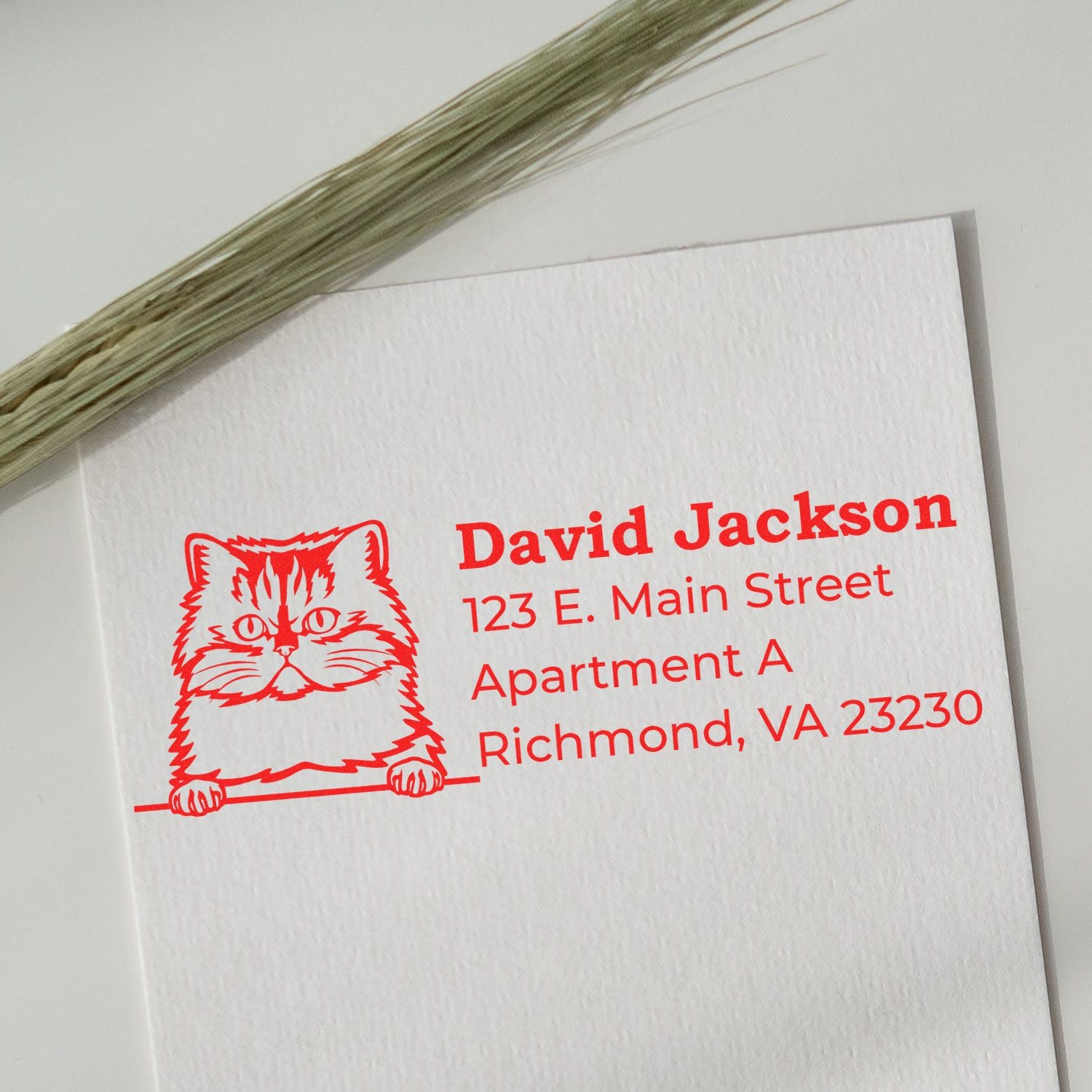 Self-Inking Persian Custom Address Stamp featuring a red Persian cat design with sample address details on white paper, next to a sprig of dried grass.