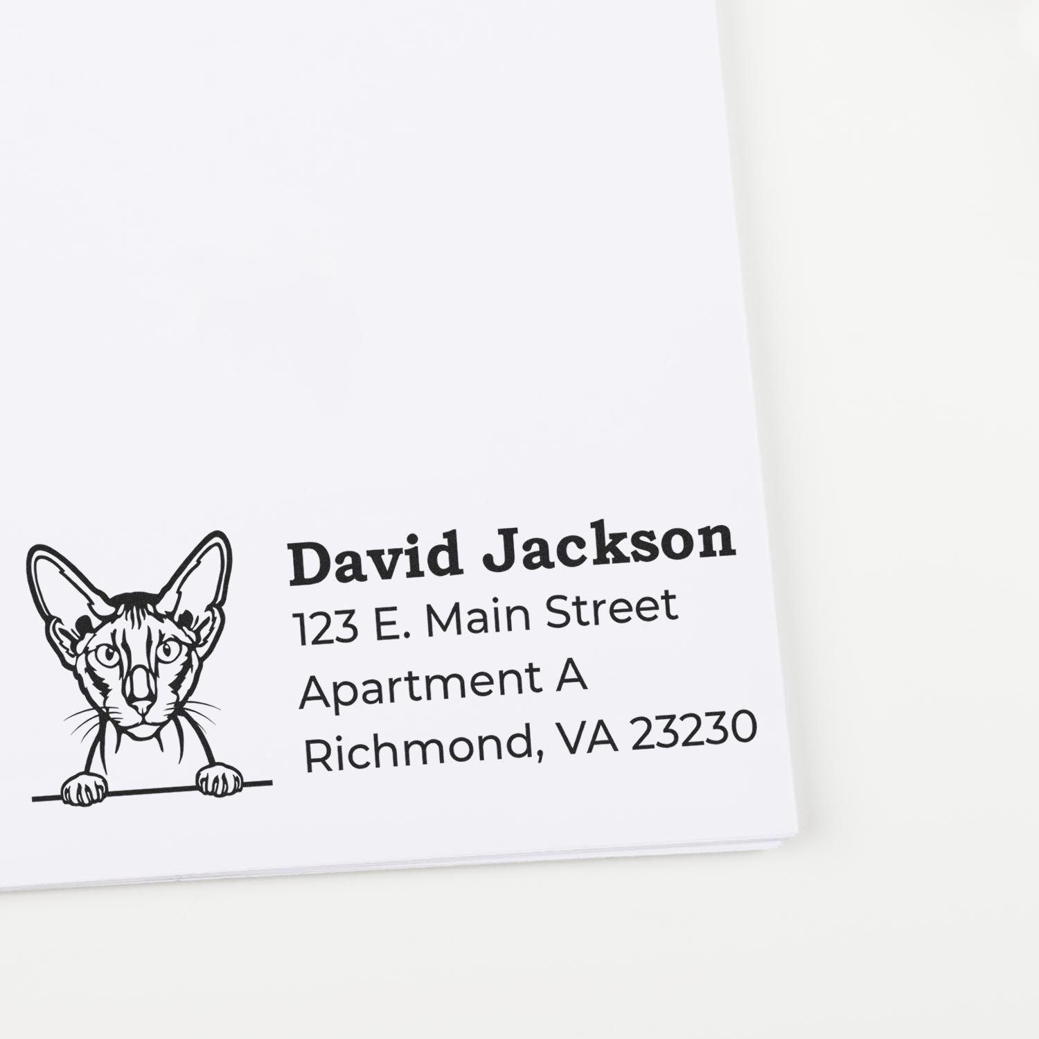 Self-Inking Peterbald Custom Address Stamp featuring a Peterbald cat design, with text showing a sample address: David Jackson, 123 E. Main Street, Apartment A, Richmond, VA 23230 on white paper.