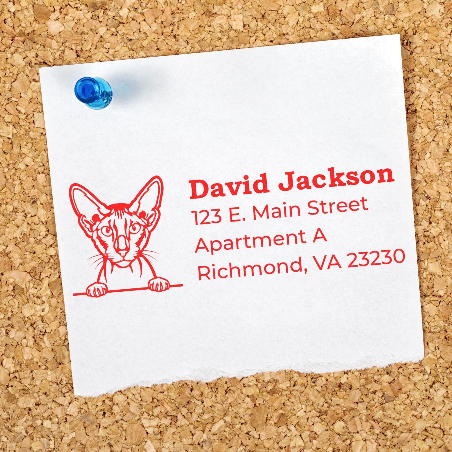 Self-Inking Peterbald Custom Address Stamp on white paper with red ink, featuring a Peterbald cat illustration and address details, pinned to a corkboard with a blue pushpin.