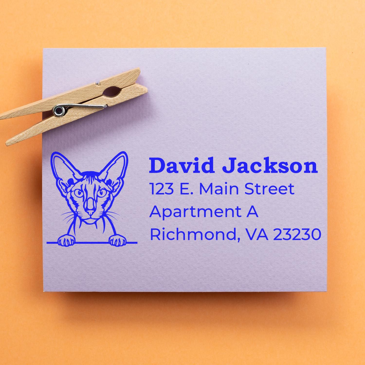 Self-Inking Peterbald Custom Address Stamp on a purple envelope with a cat illustration, clipped with a wooden clothespin, displaying an address in blue text on an orange background.