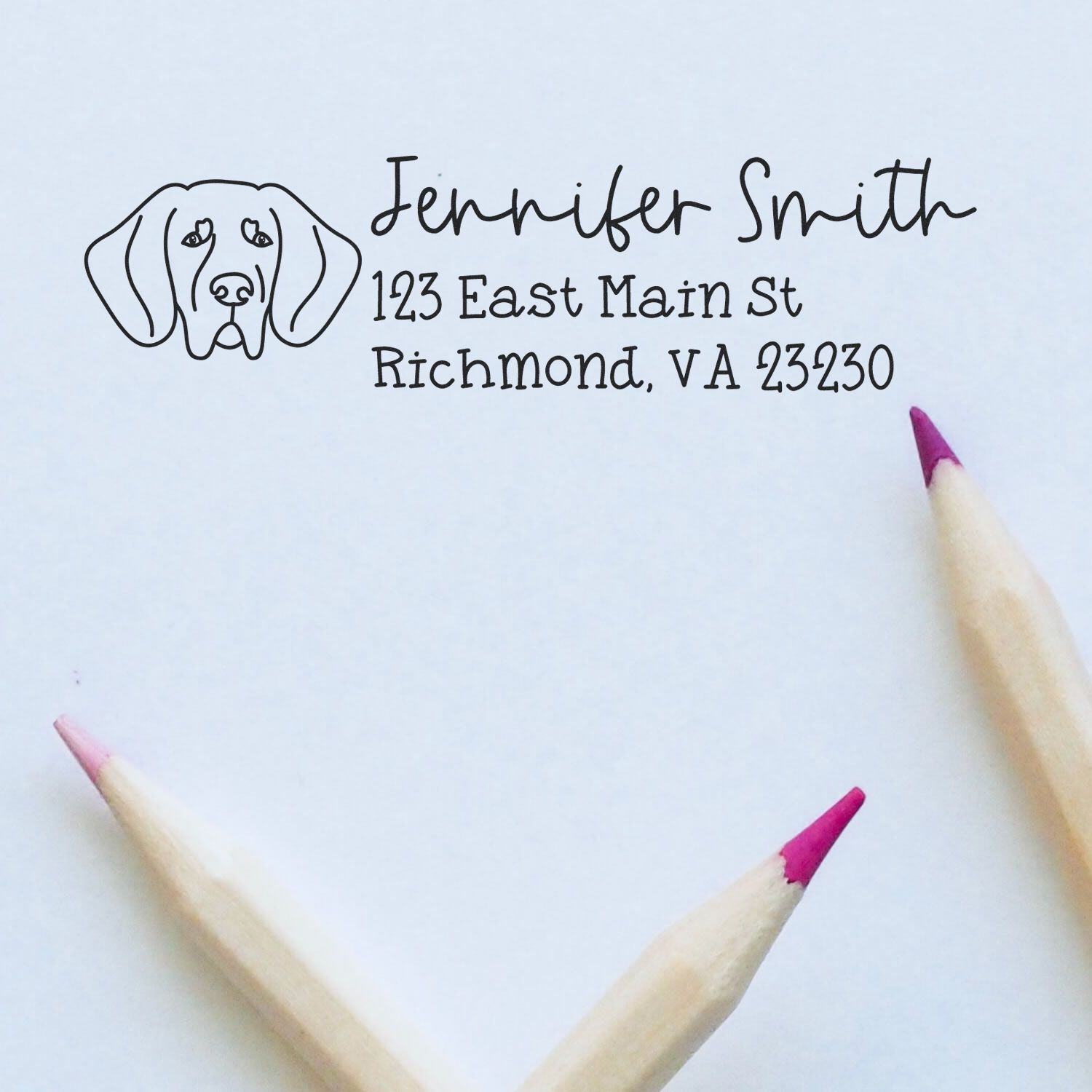 Slim Customized Address Stamp Great Dane Ears Up Dog Outline