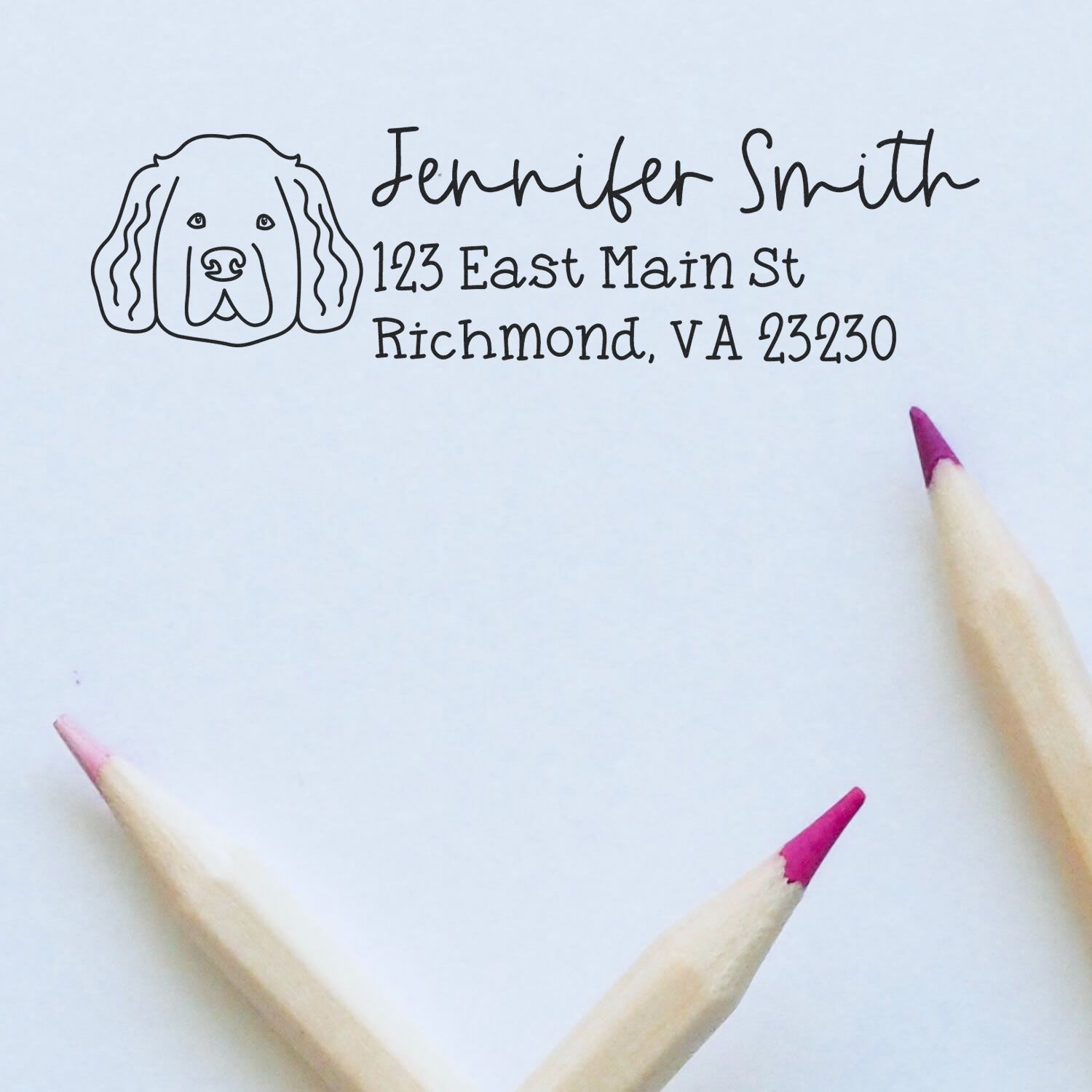 Self-Inking Newfoundland Dog Outline Return Address Stamp Personalized