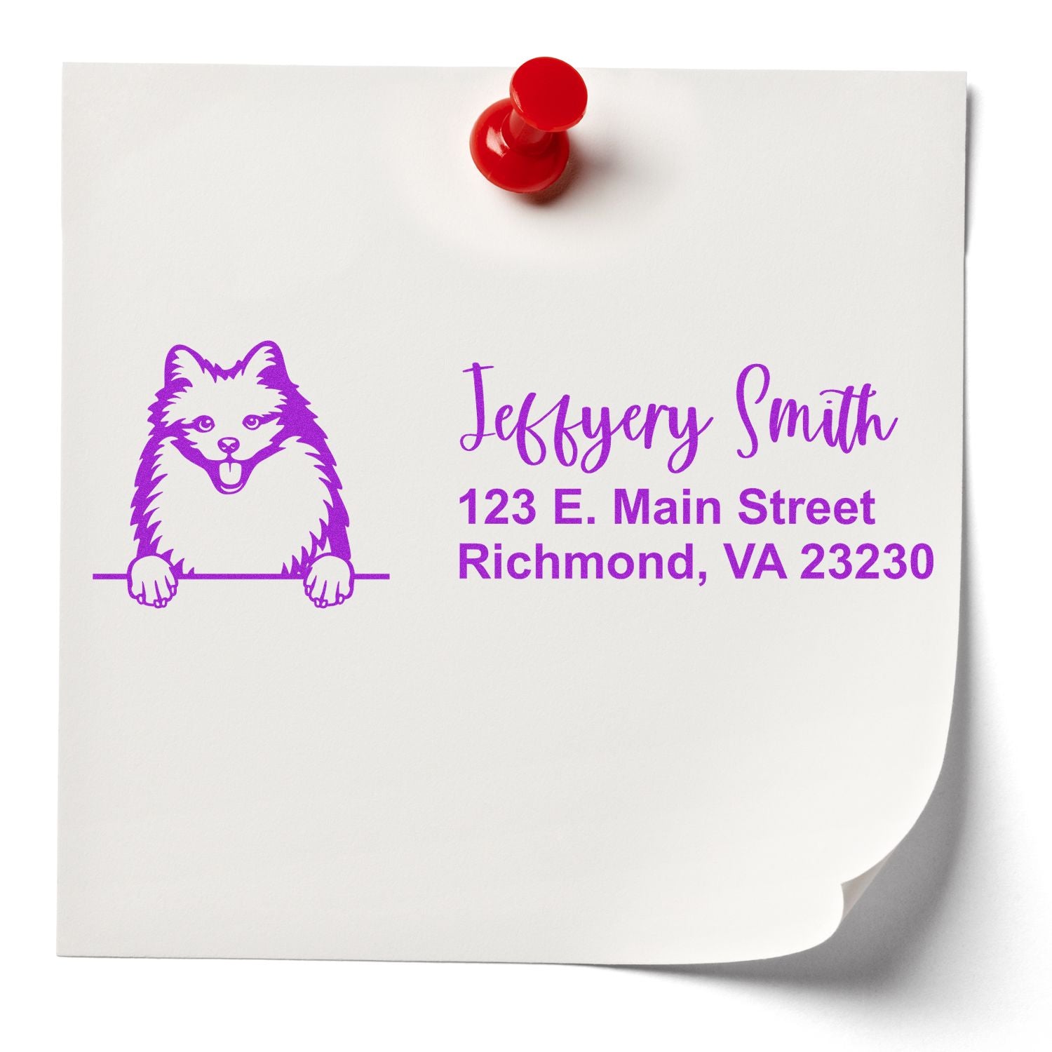 Peeking American Eskimo Name and Address Rubber Stamp