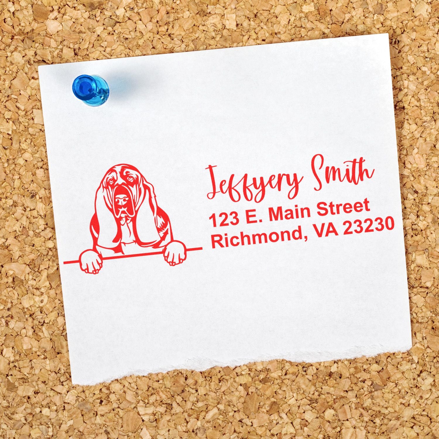 Peeking Basset Hound Name and Address Rubber Stamp