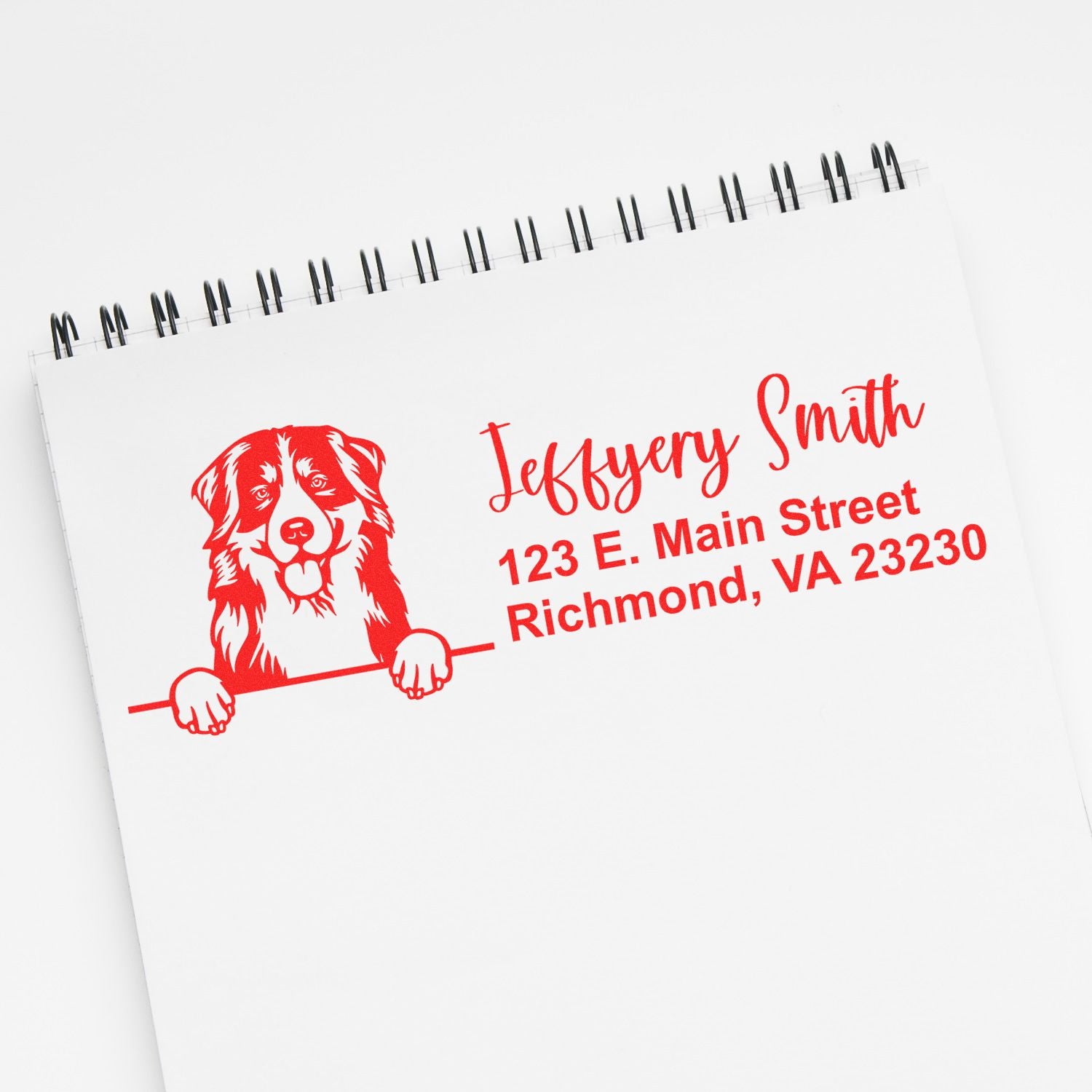 Peeking Bernese Mountain Dog Name and Address Rubber Stamp