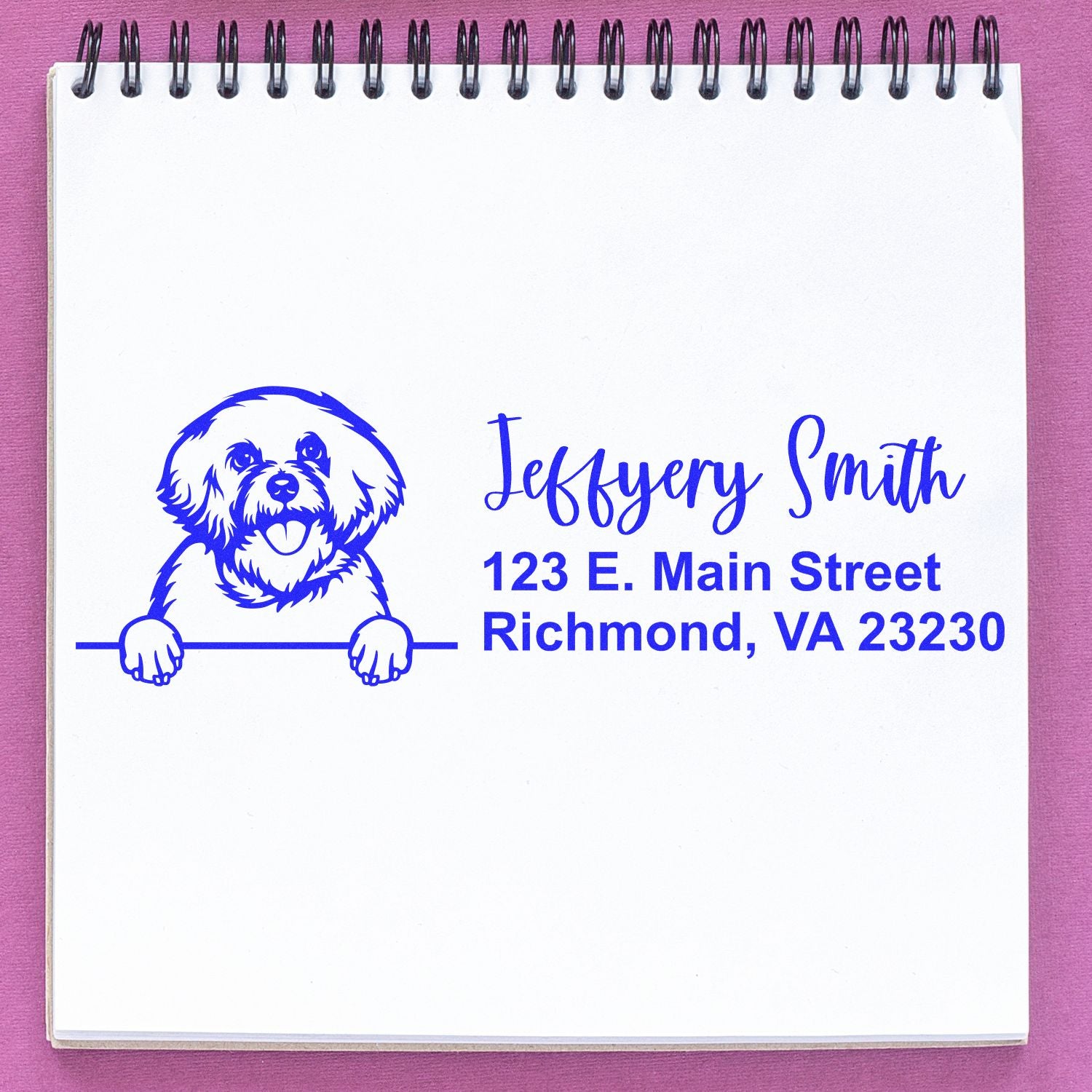 Peeking Bichon Frise Name and Address Rubber Stamp