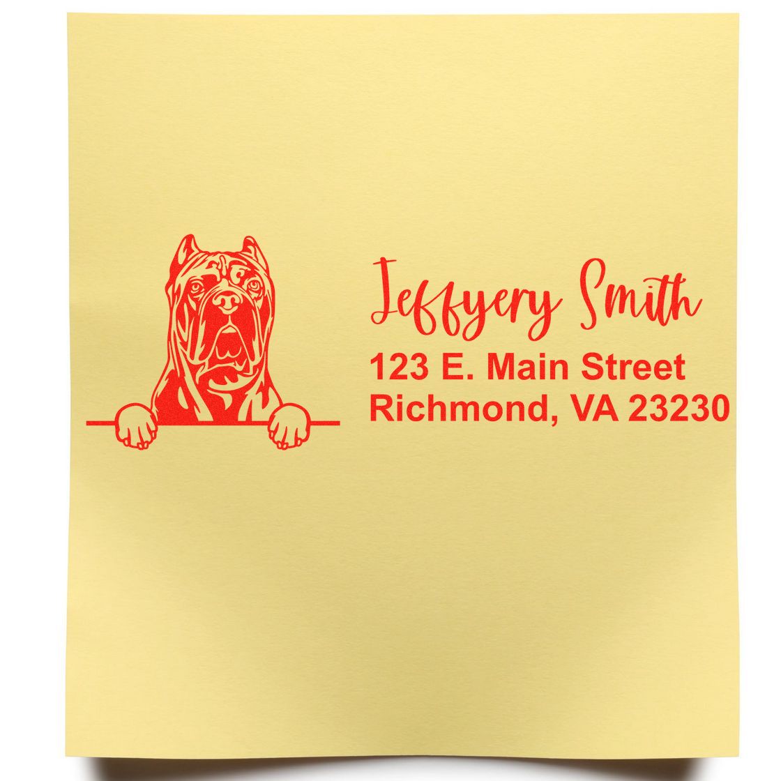 Peeking Cane Corso Name and Address Rubber Stamp