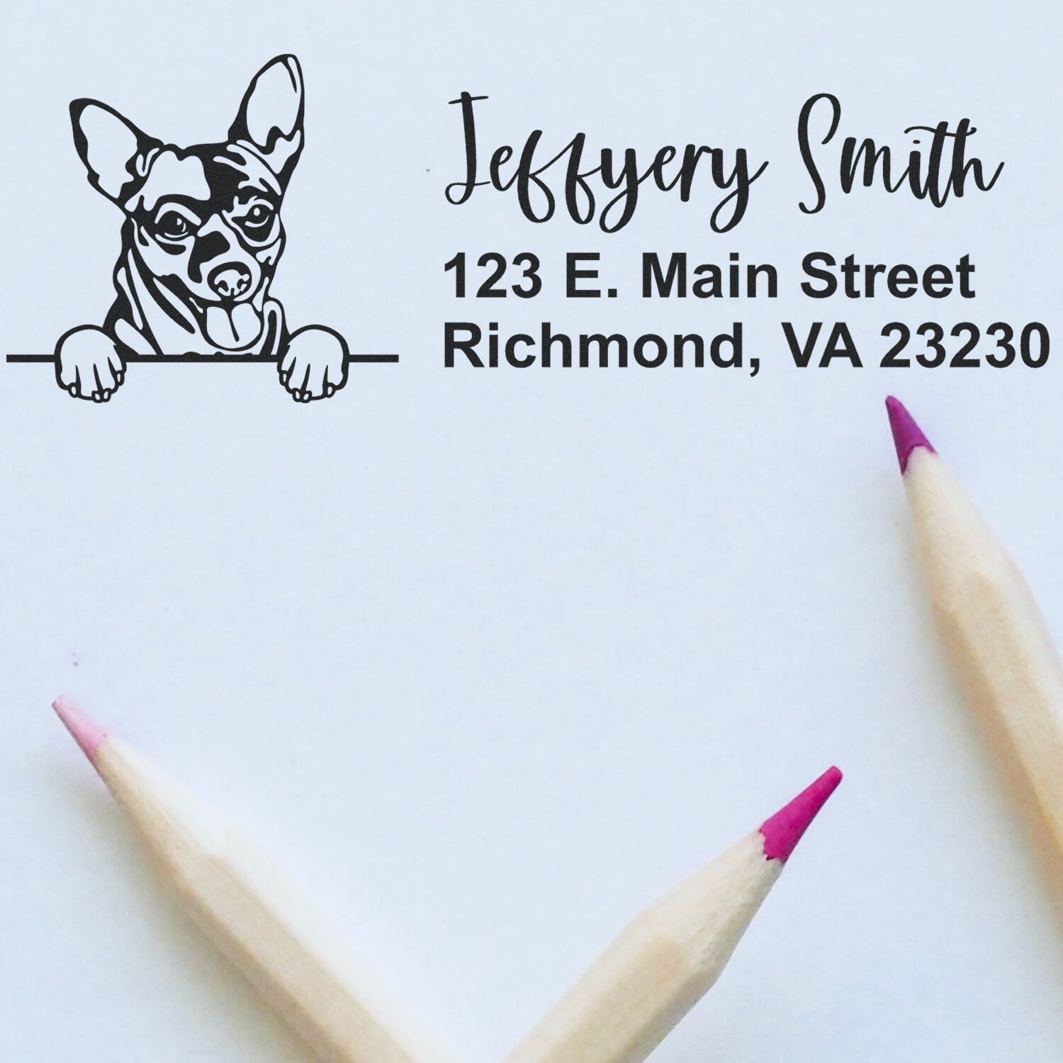 Peeking Chihuahua Name and Address Rubber Stamp