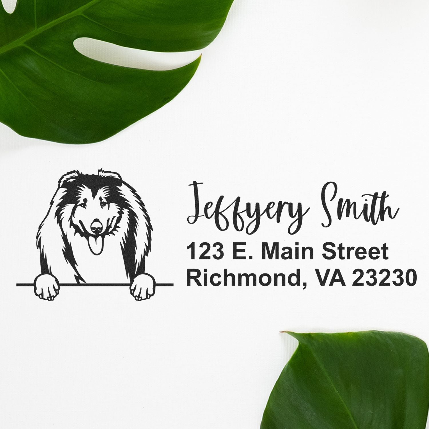 Peeking Collies Name and Address Rubber Stamp